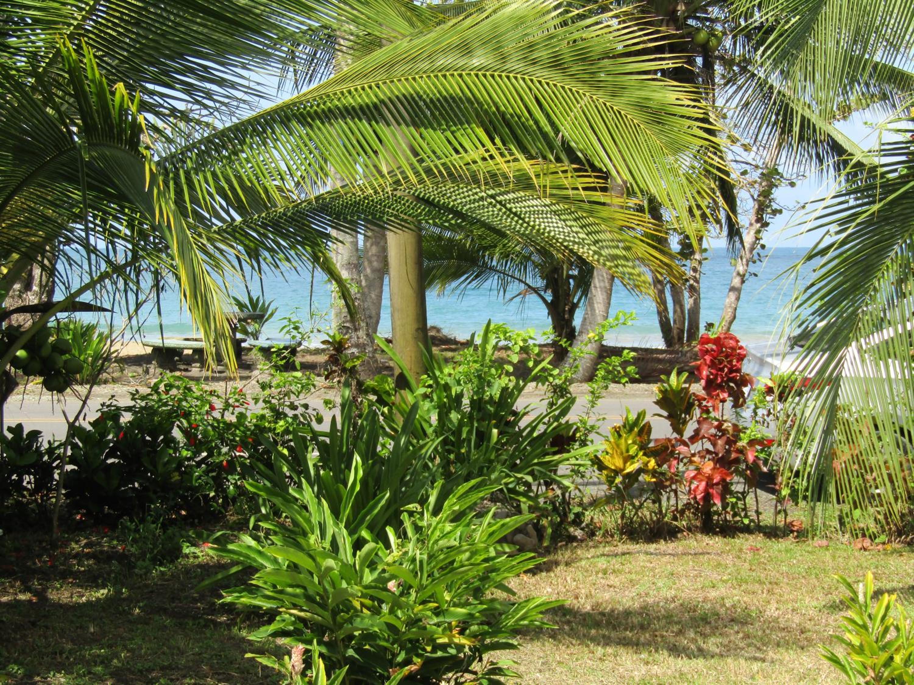 Pineapple house Manzanillo