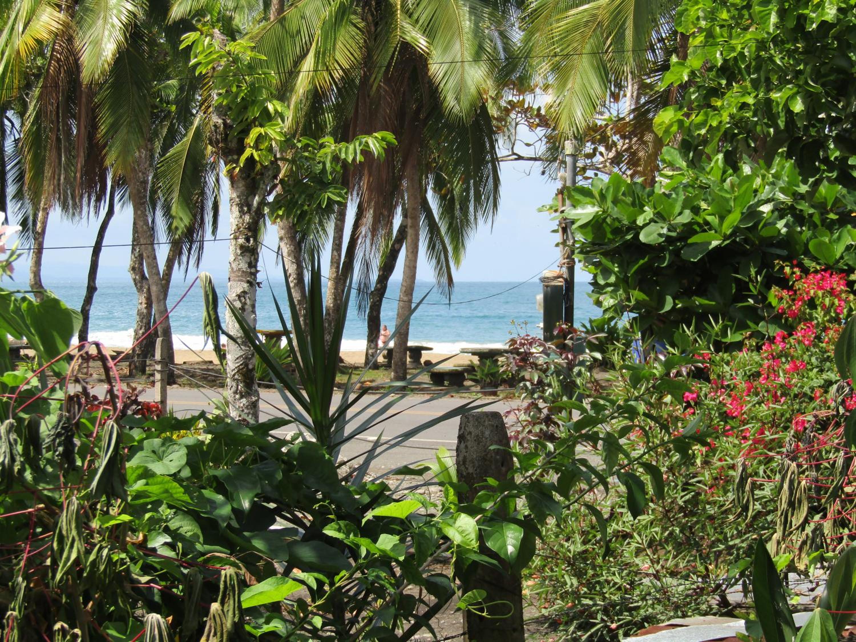 Pineapple house Manzanillo