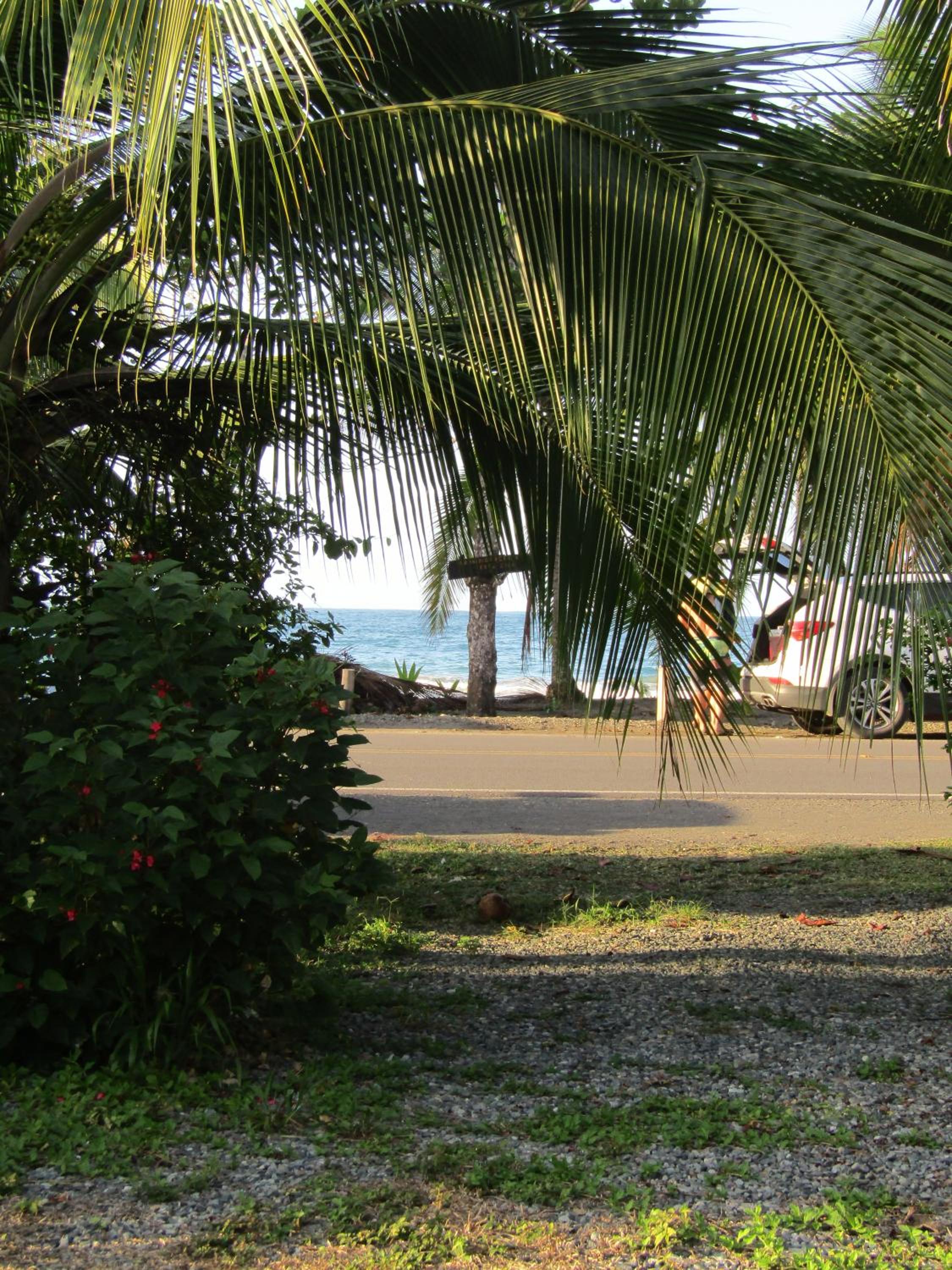Pineapple house Manzanillo