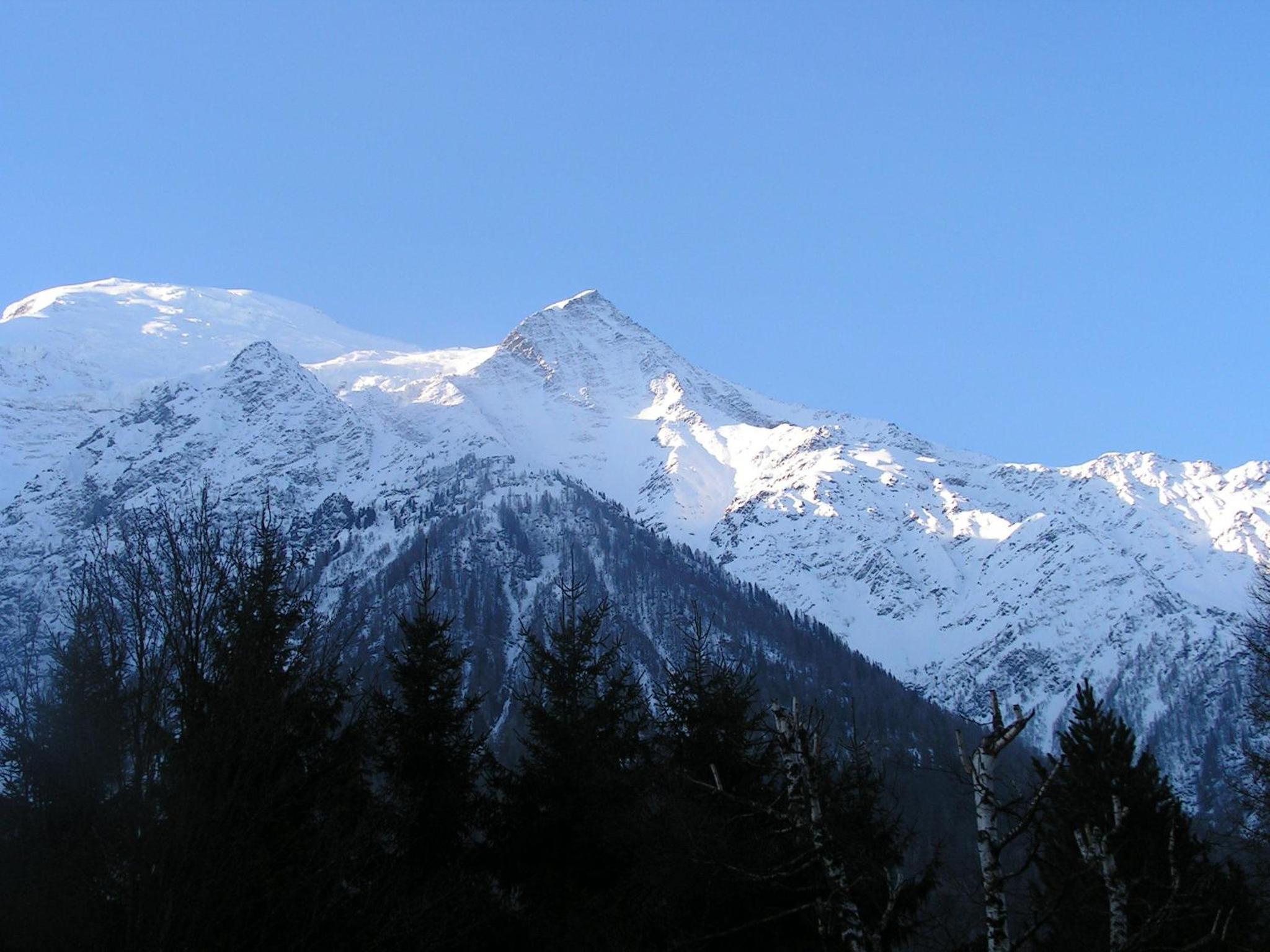 Chalet La Renardière view 3