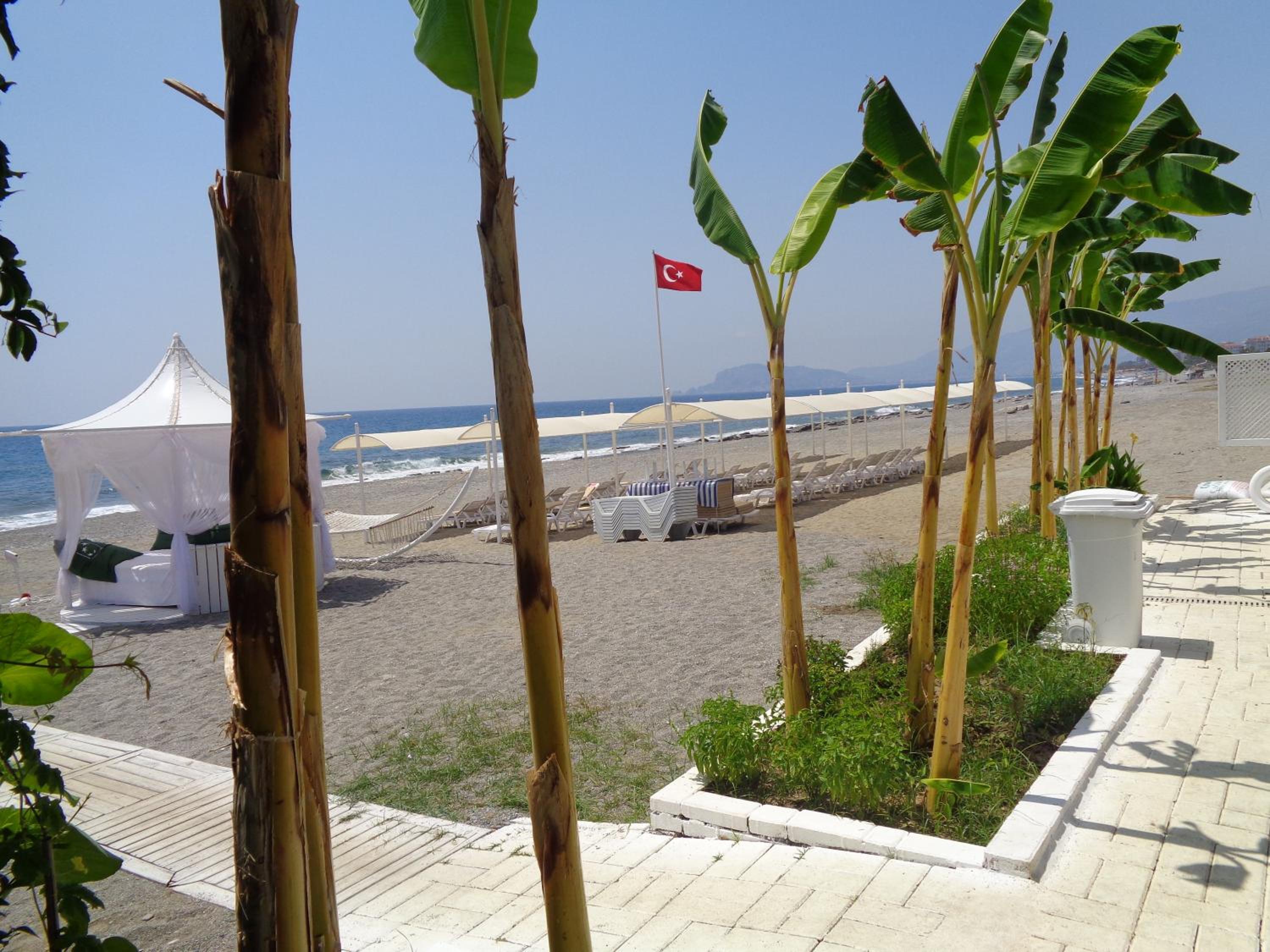 Graf Victor Otel - Image 100