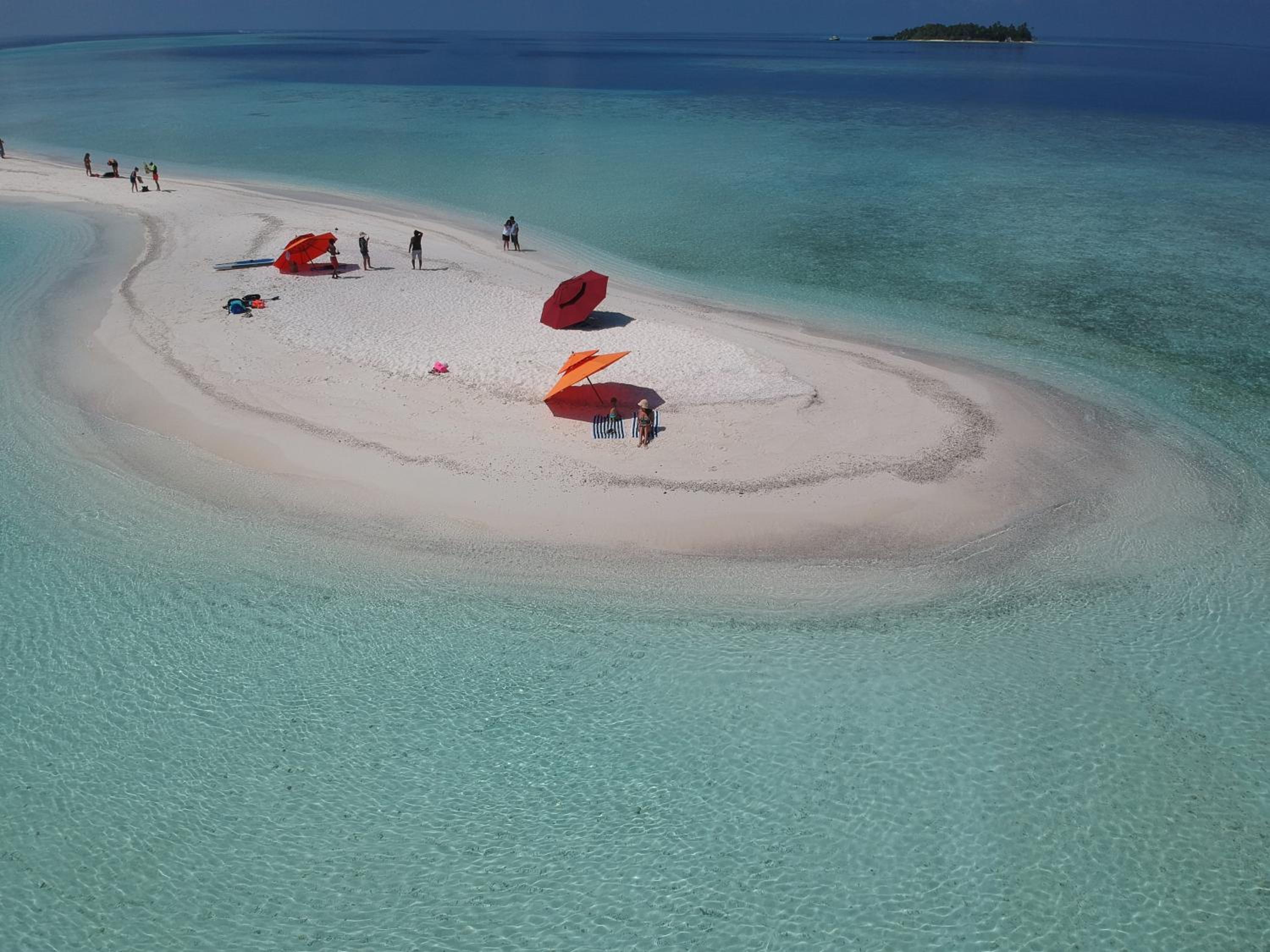 Season Paradise
