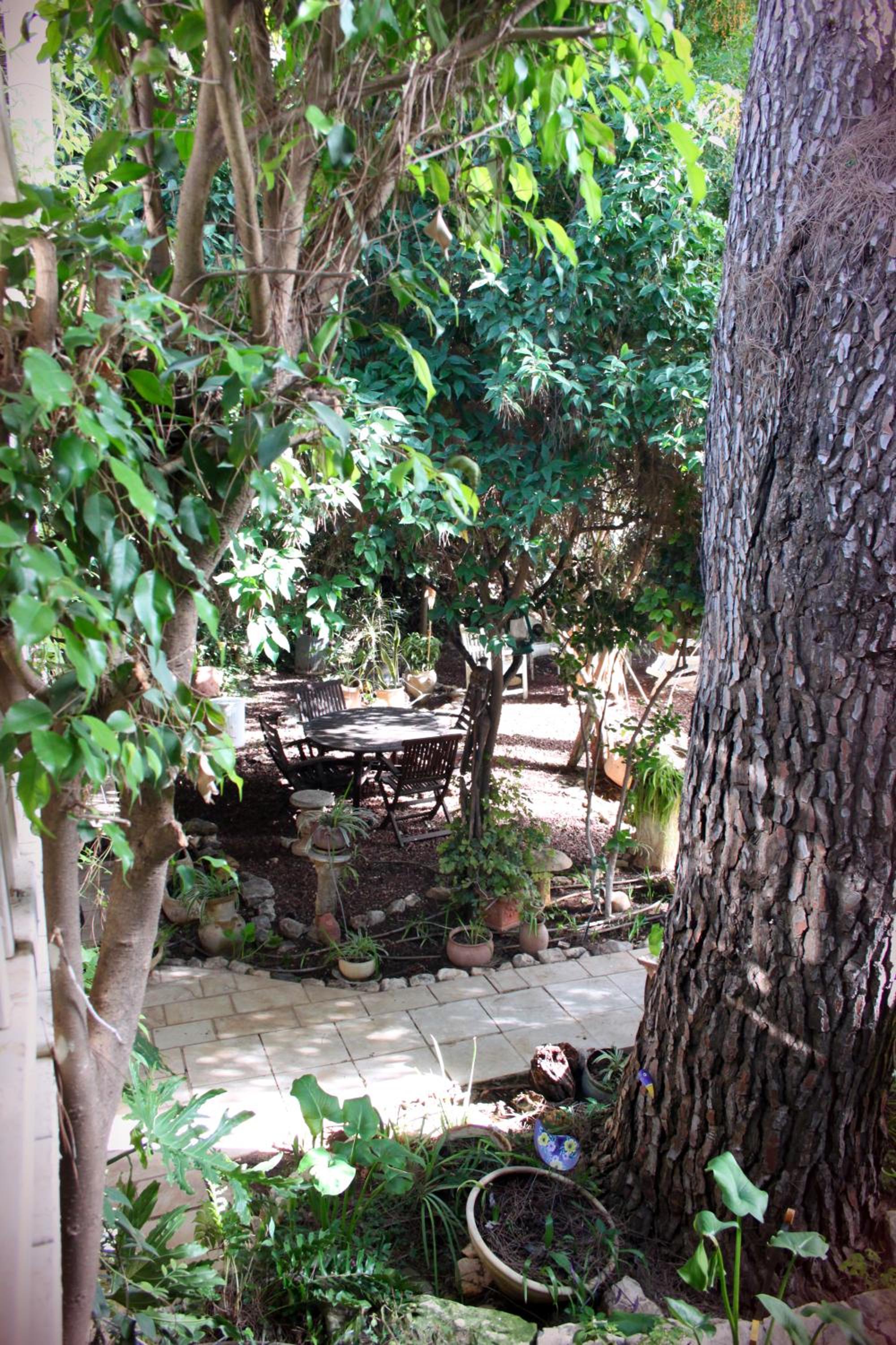 Pina Balev Inn