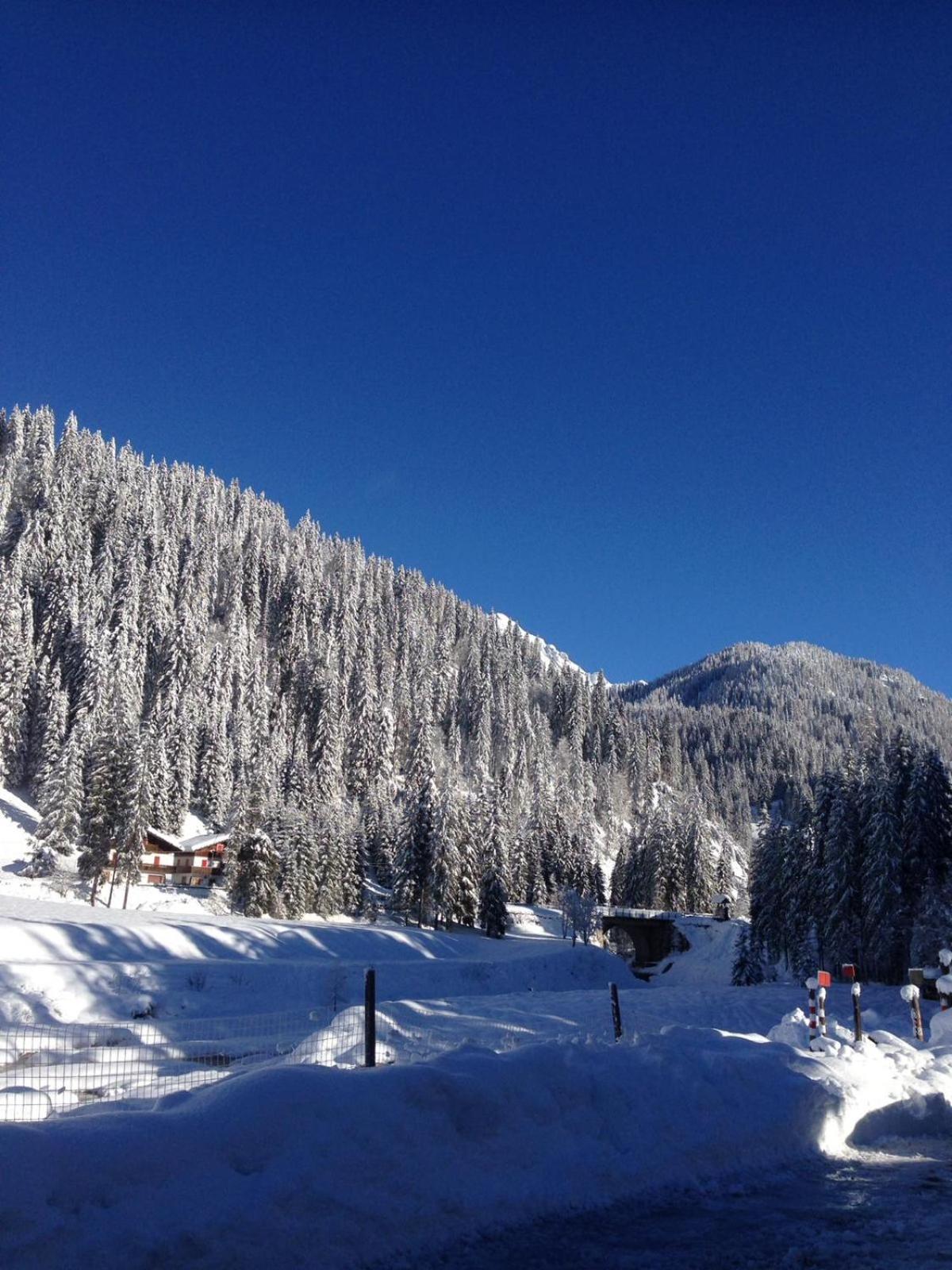 Eirl DOLOMITES Retreat Sappada