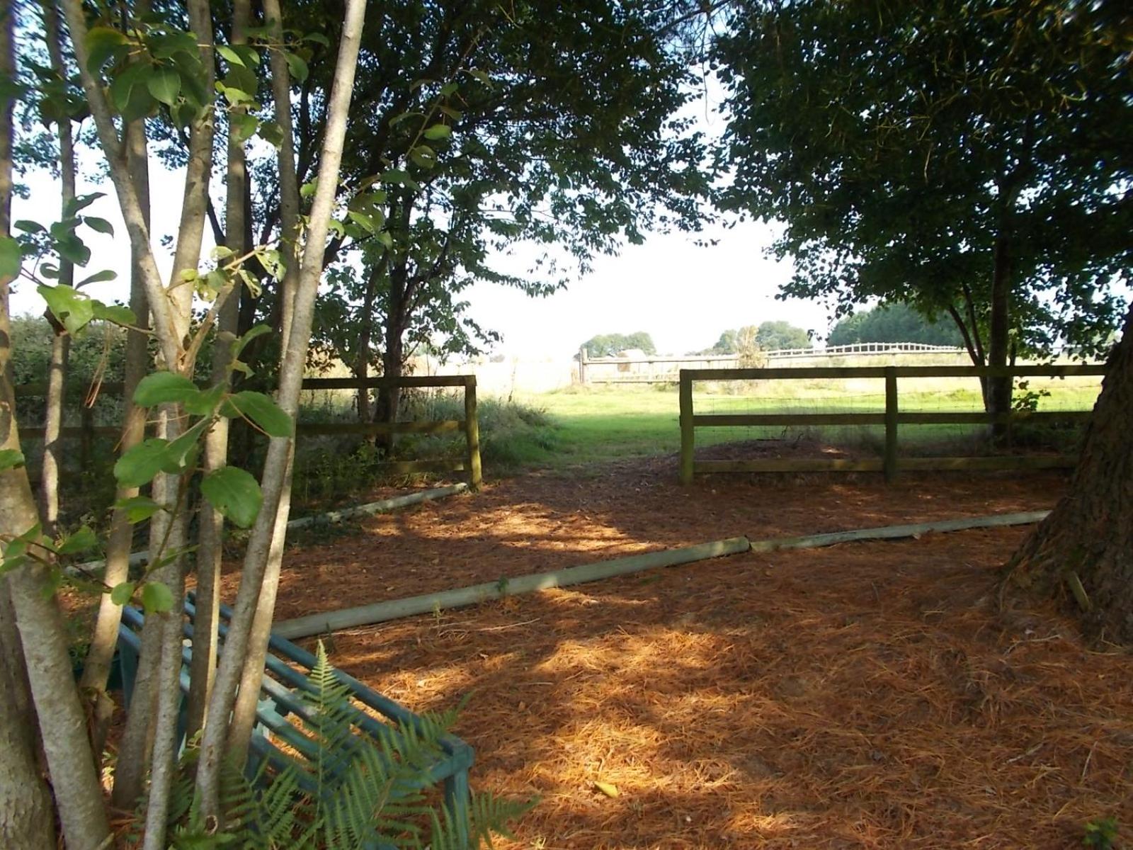 Photo 31