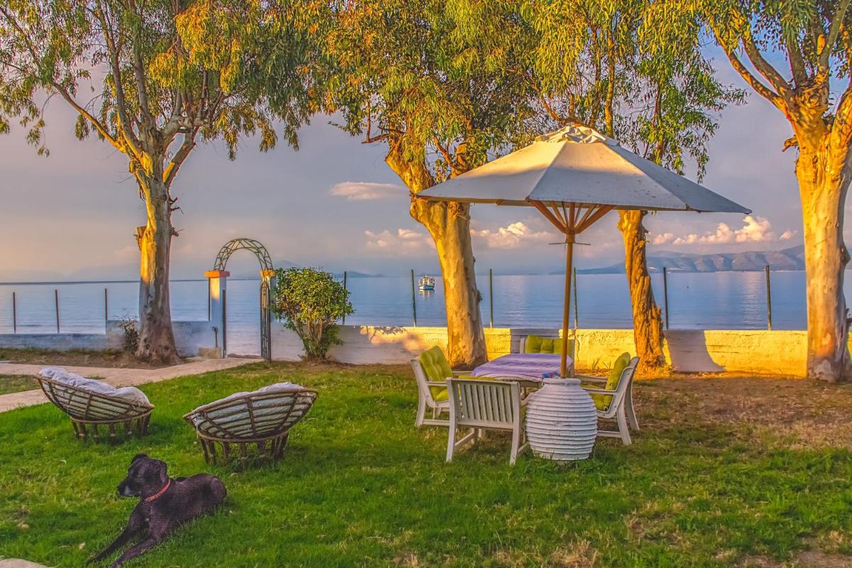 LeMaMi Seafront Bungalows photo 3