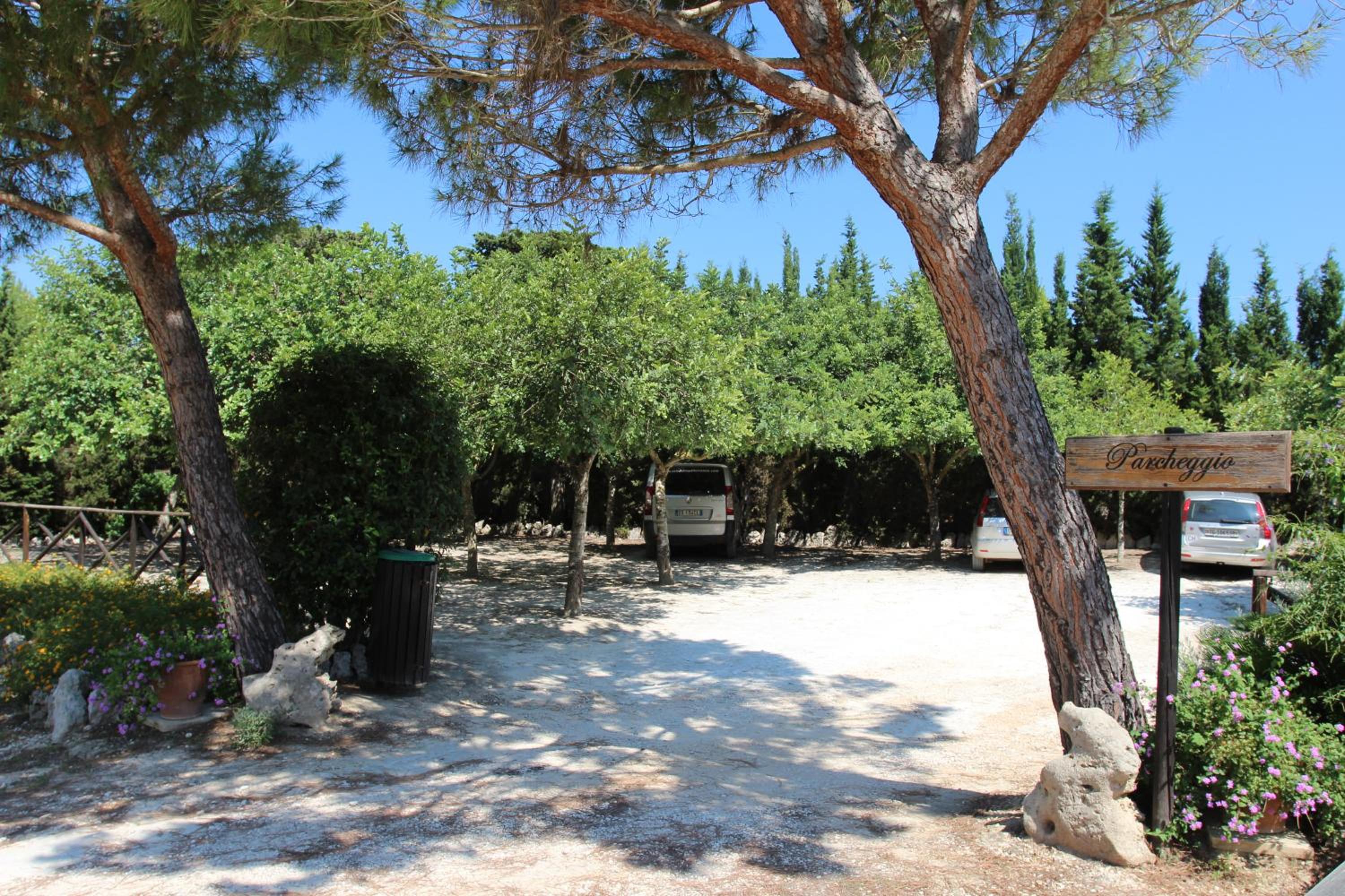 Sole del Mediterraneo