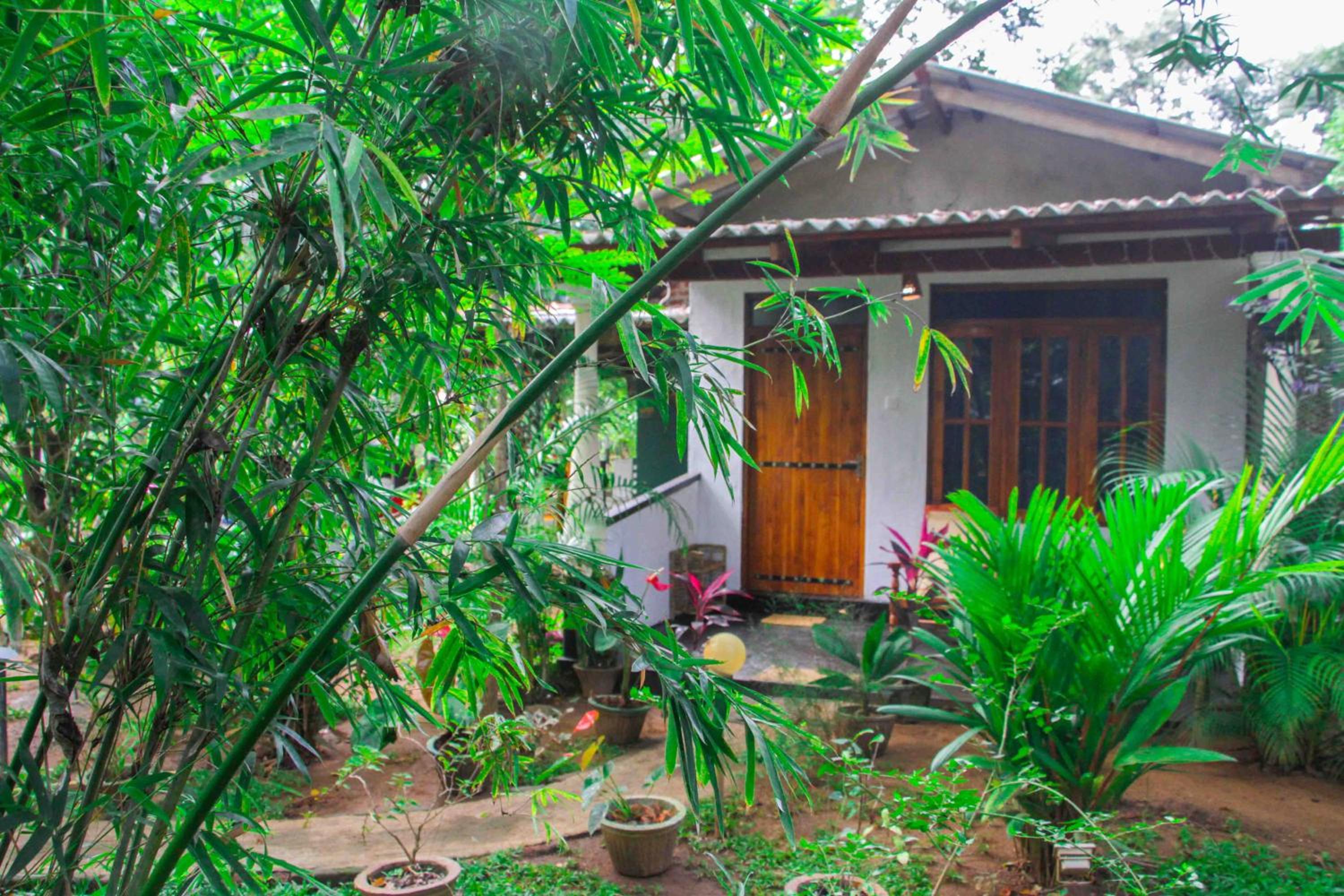 Manju Homestay