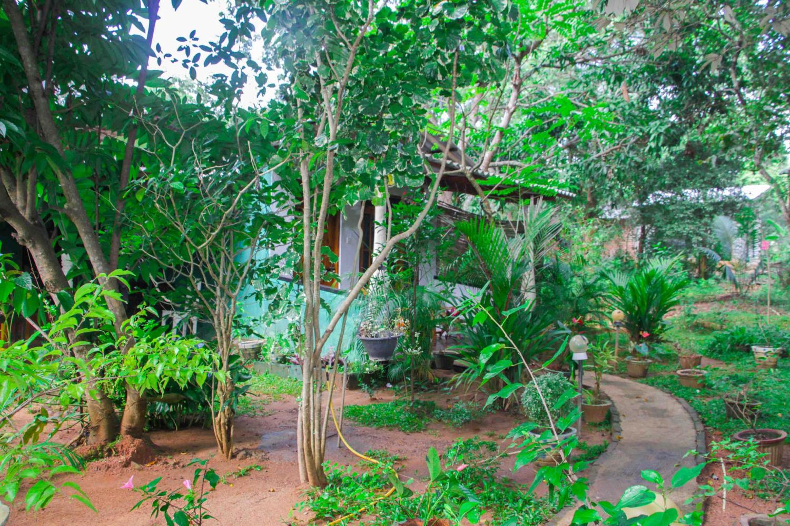 Manju Homestay