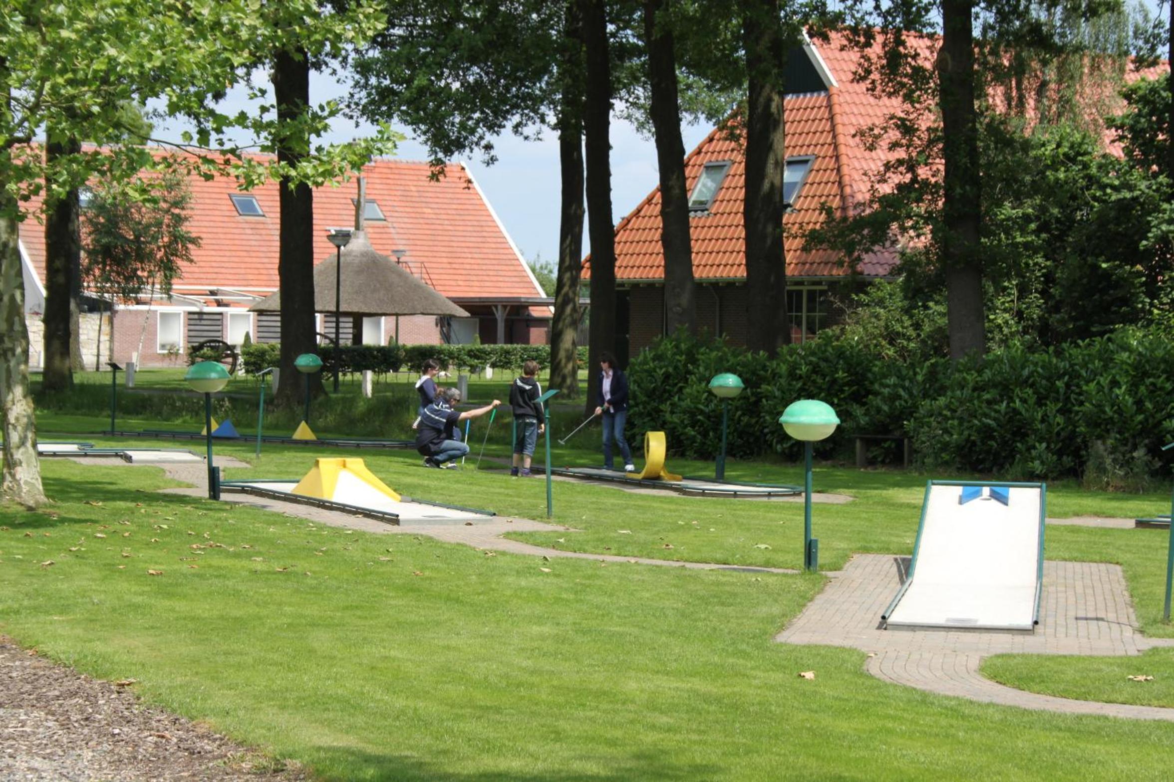 Photo 19