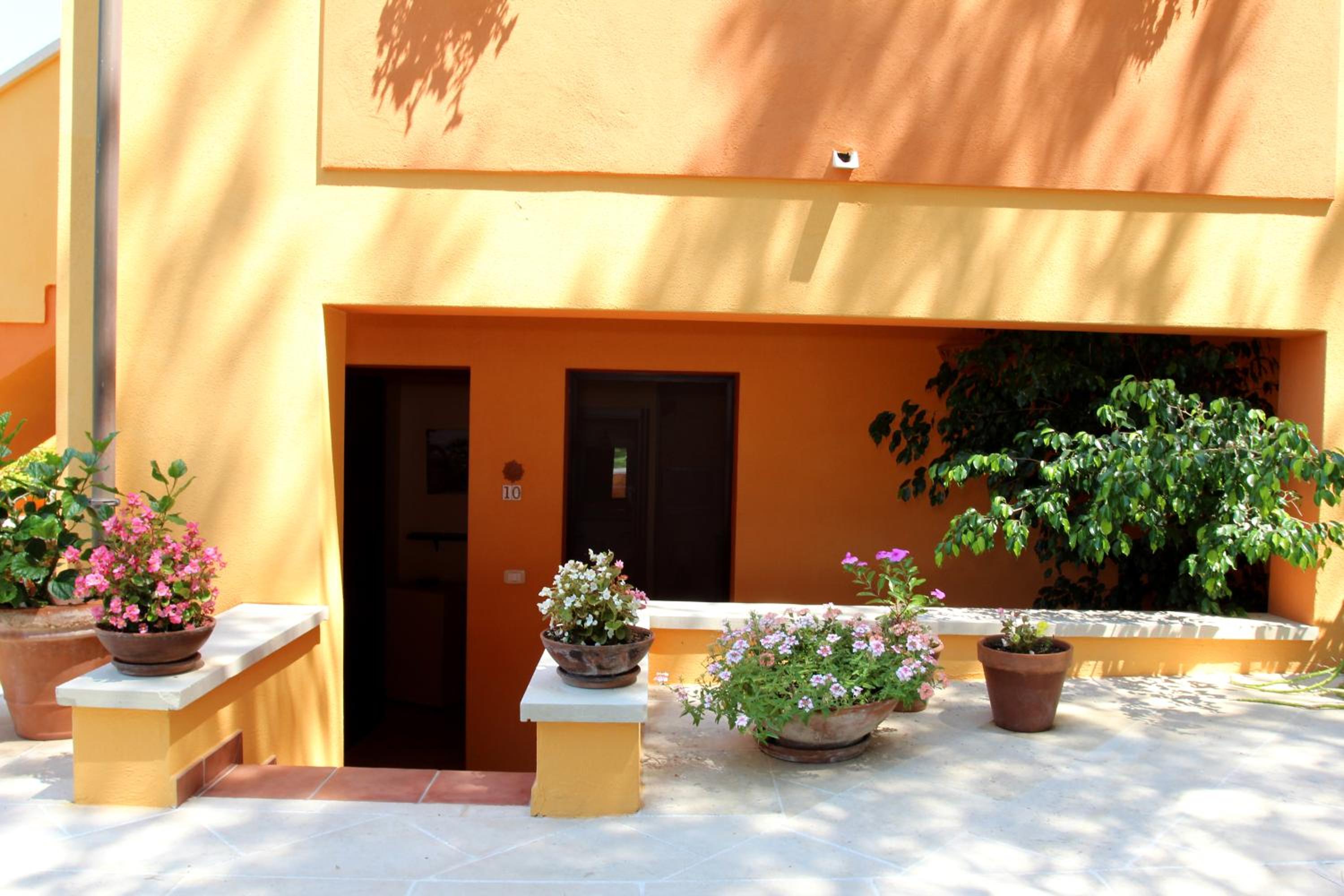 Sole del Mediterraneo