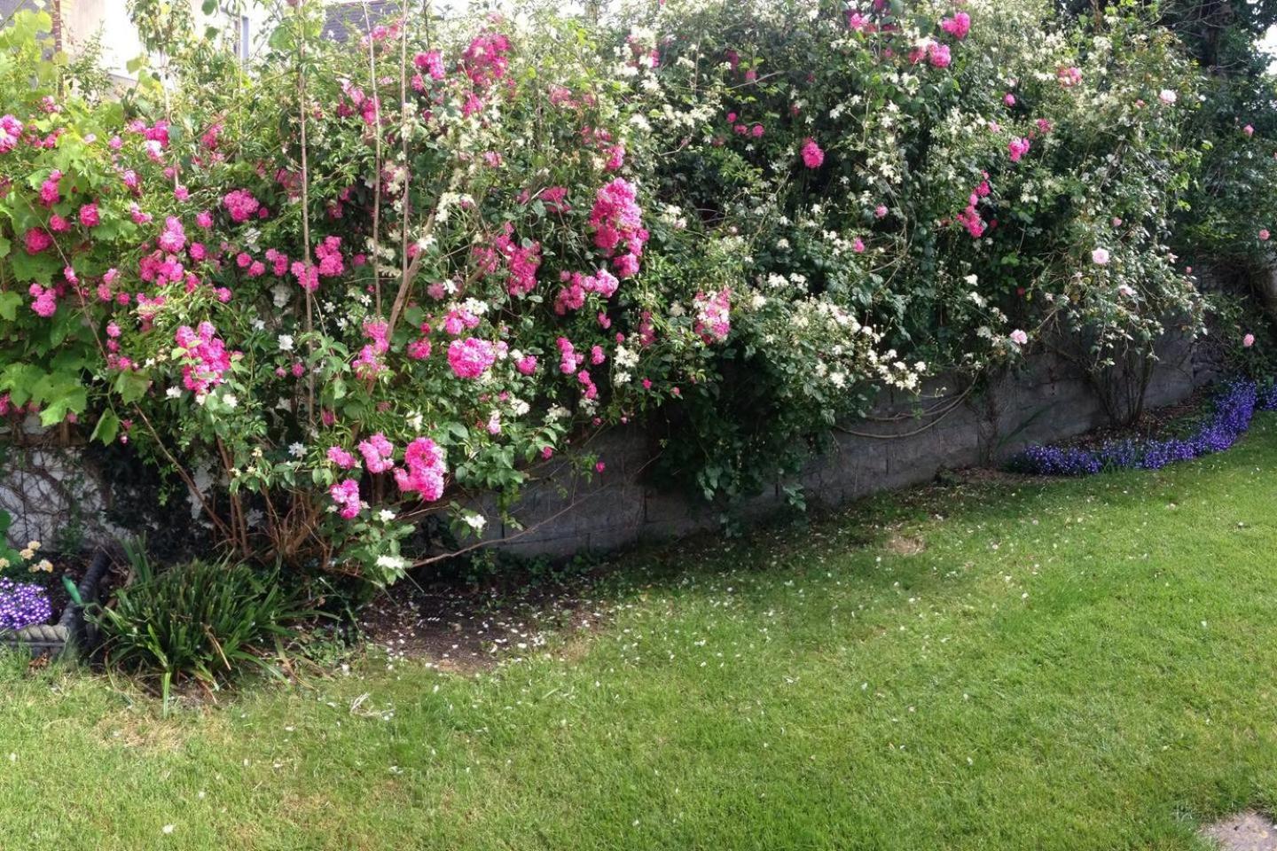 Photo 49