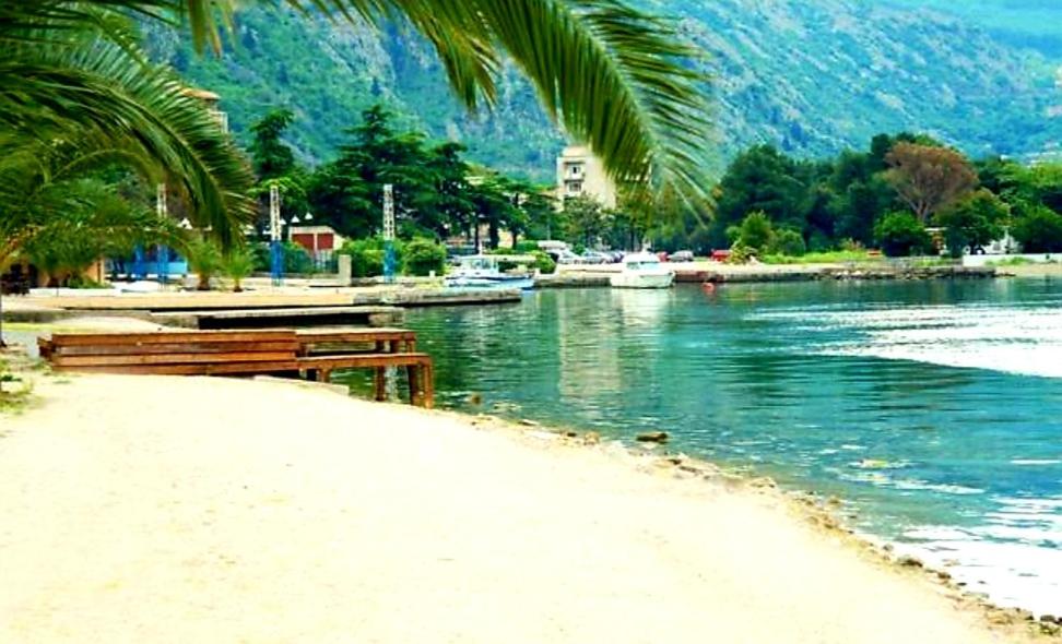 La Vida Kotor