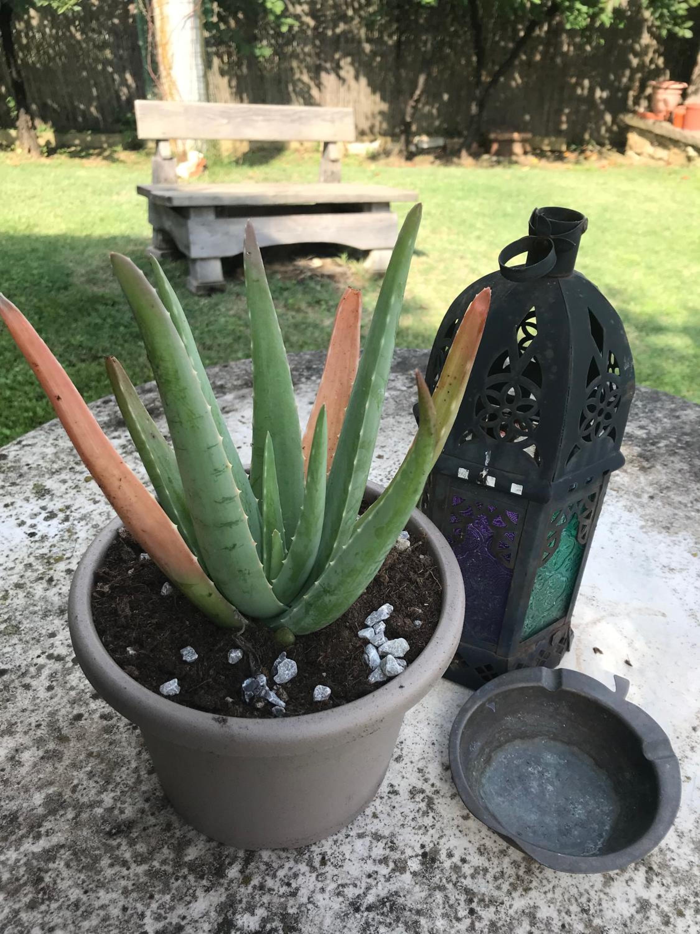 Casa Aloe B&B