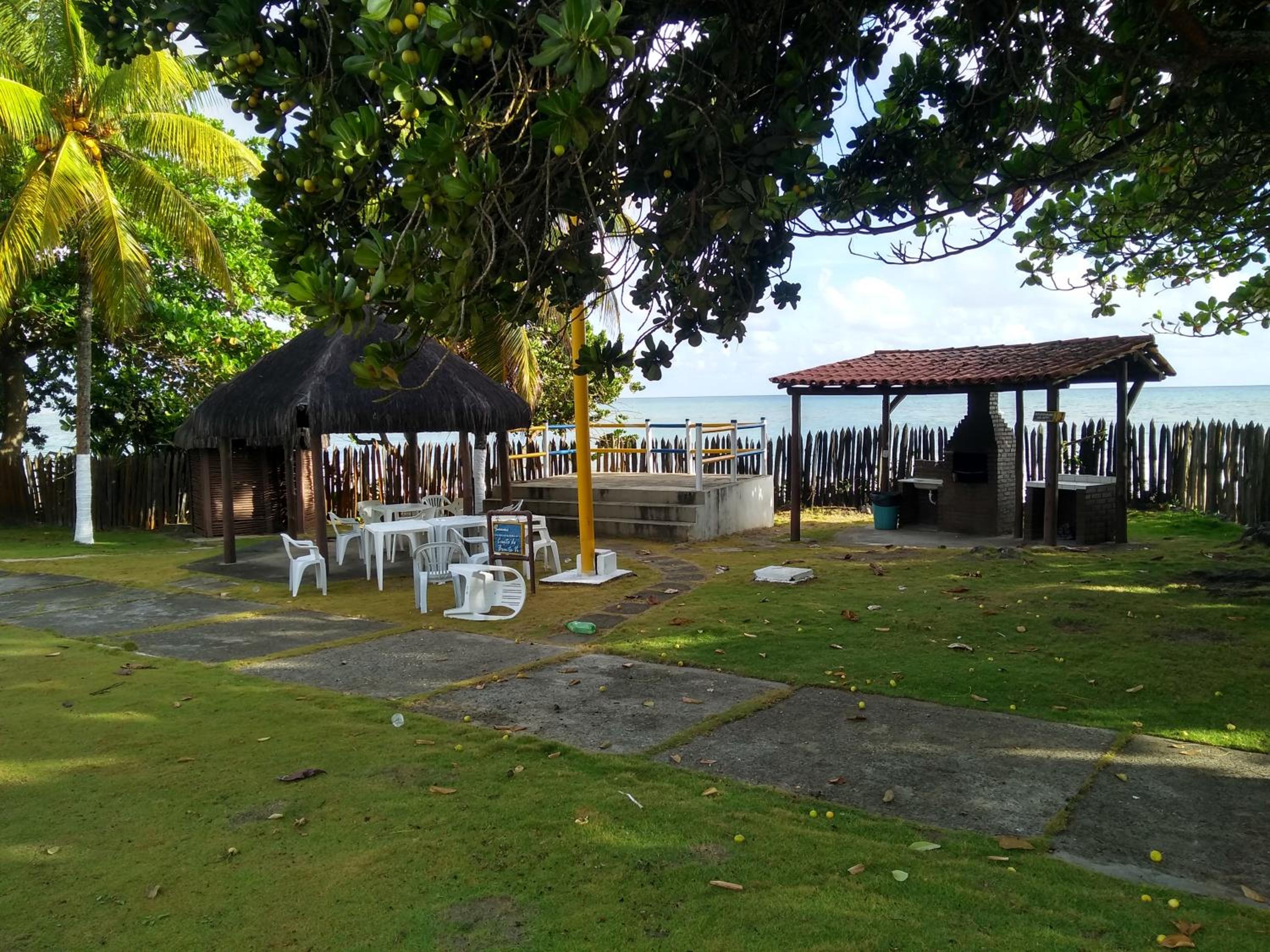 Photo 43
