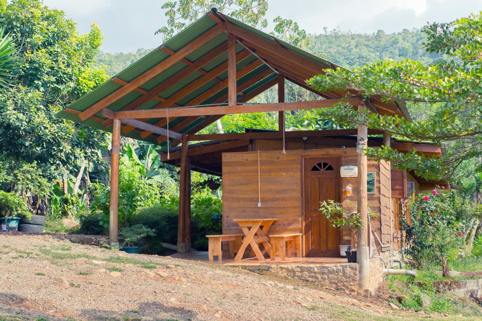 Ecolodge Rain view 2