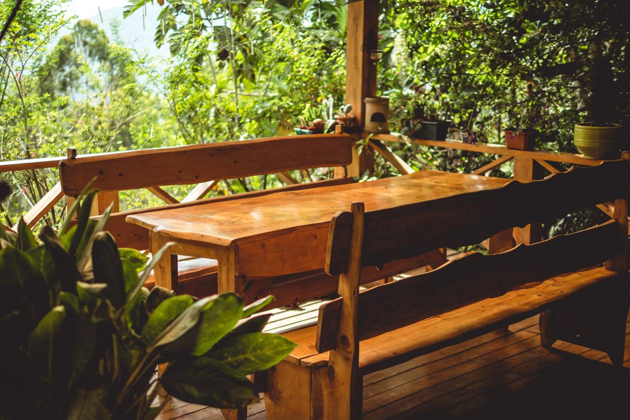Ecolodge Rain view 5
