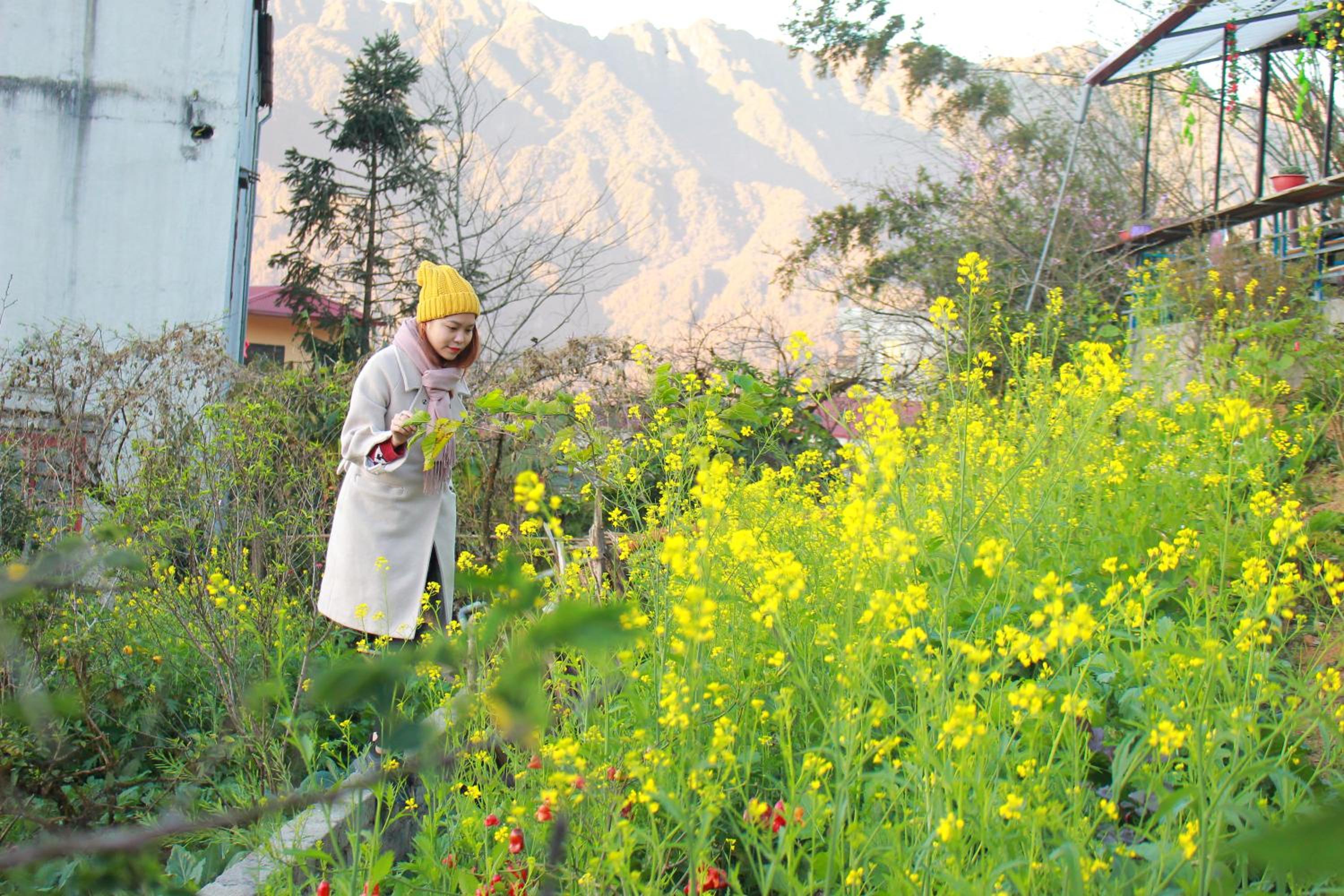 Sapa Tatu Homestay