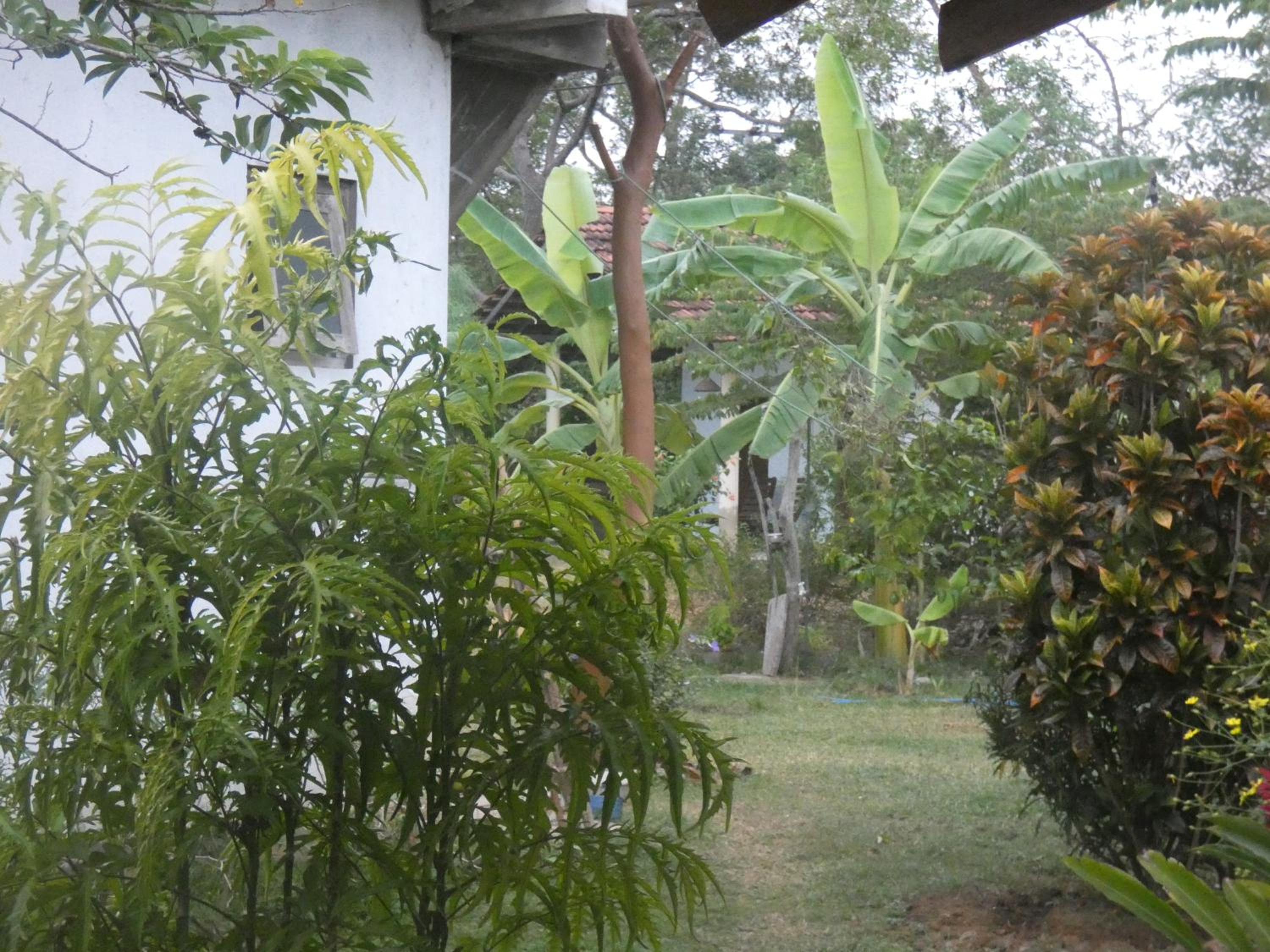 Photo 27