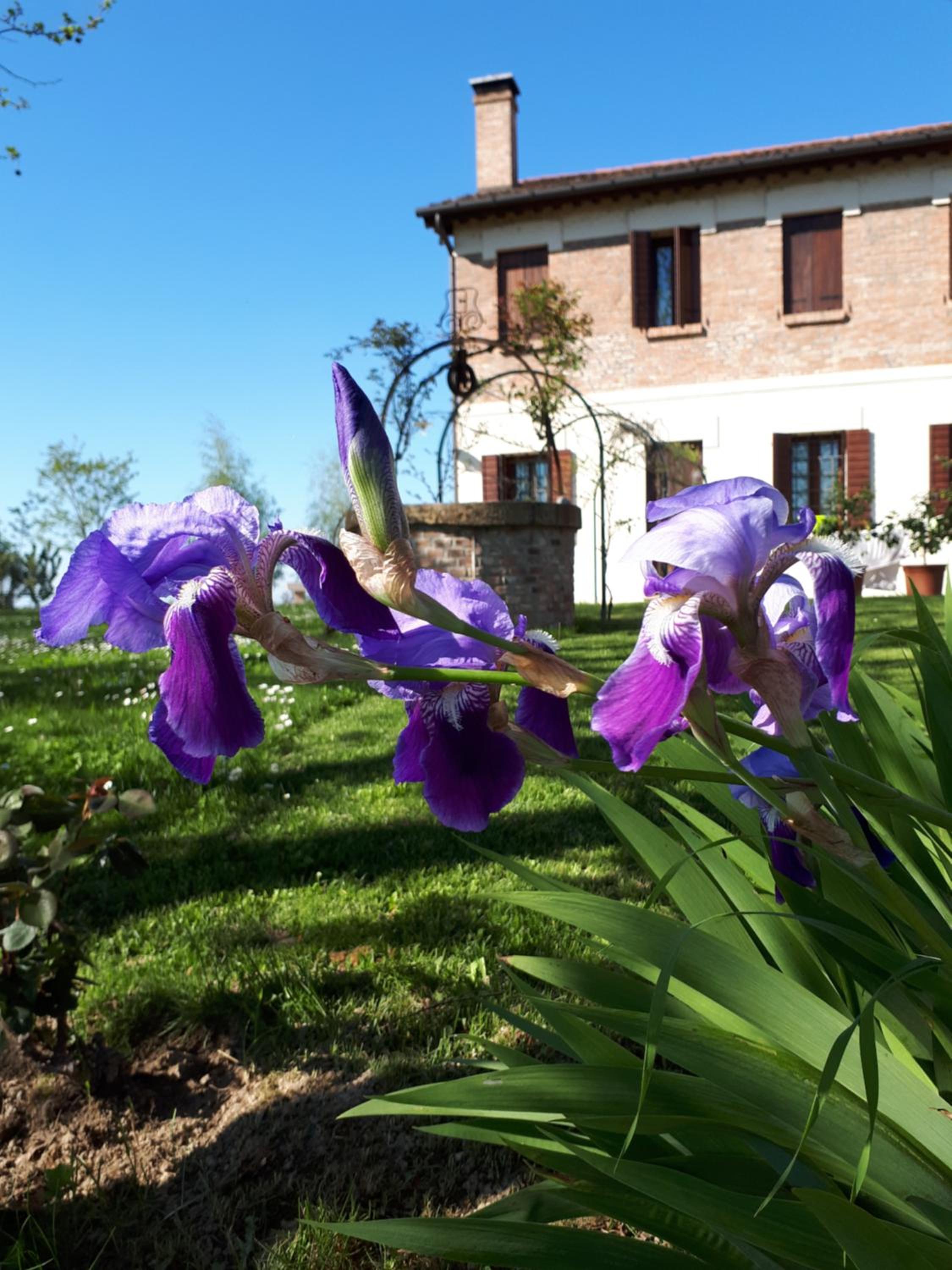 Barchessa Da Rio, photo 4