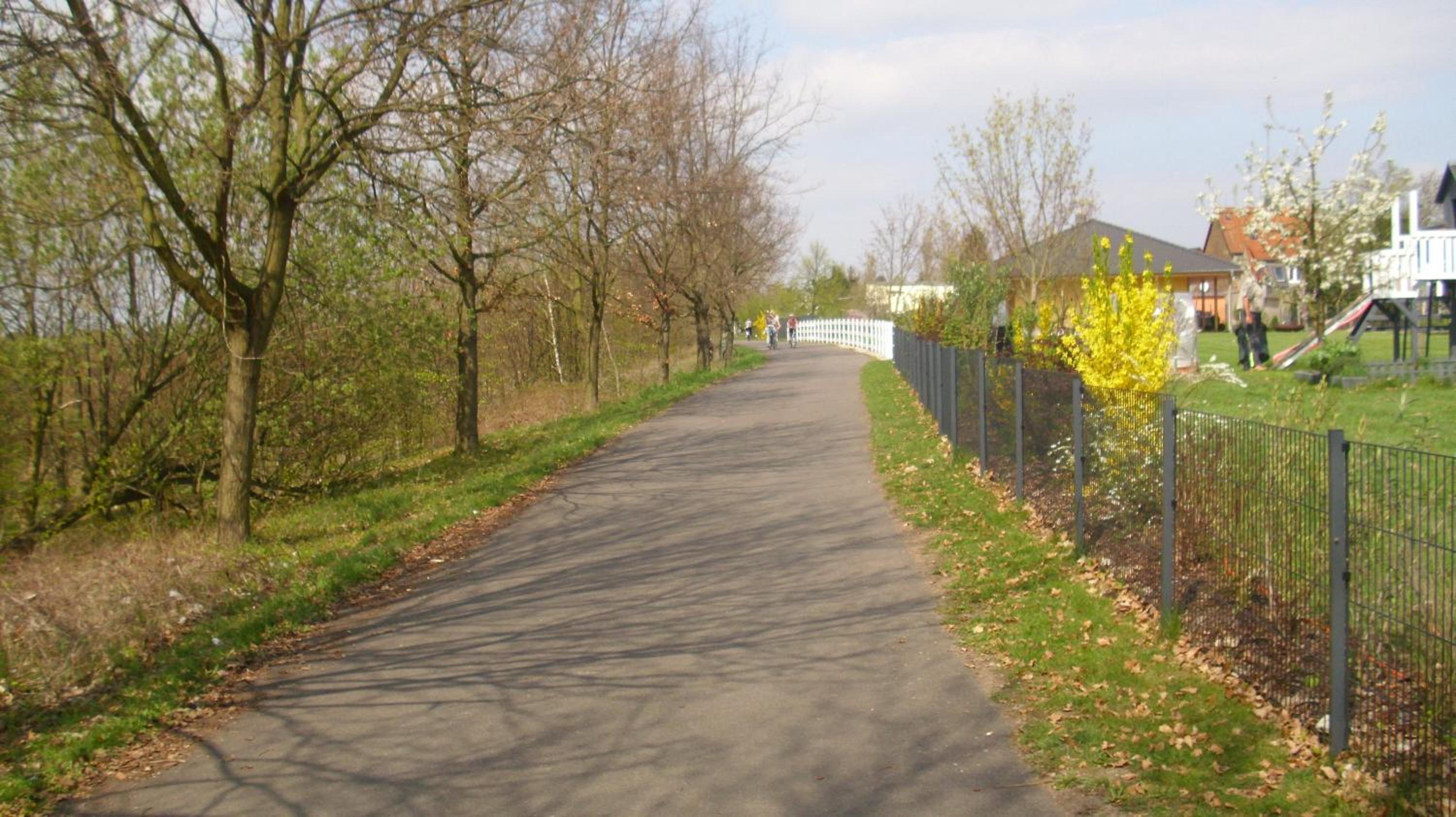 Photo 23