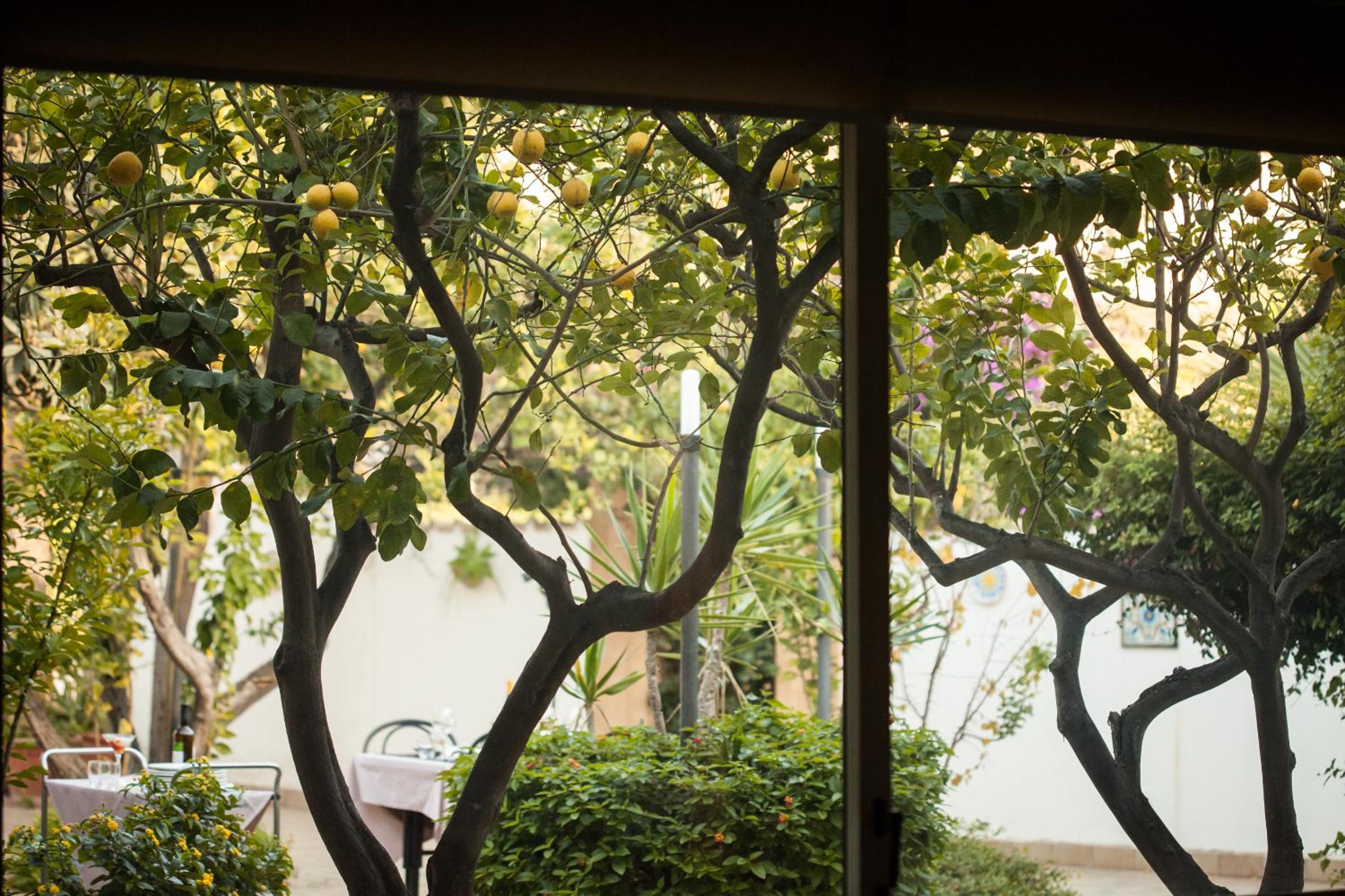 L'Albero