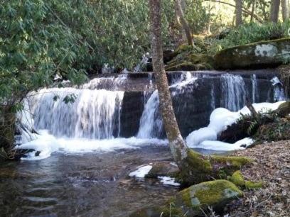 Creekside Paradise Bed and Breakfast