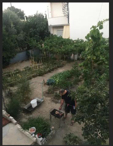 human