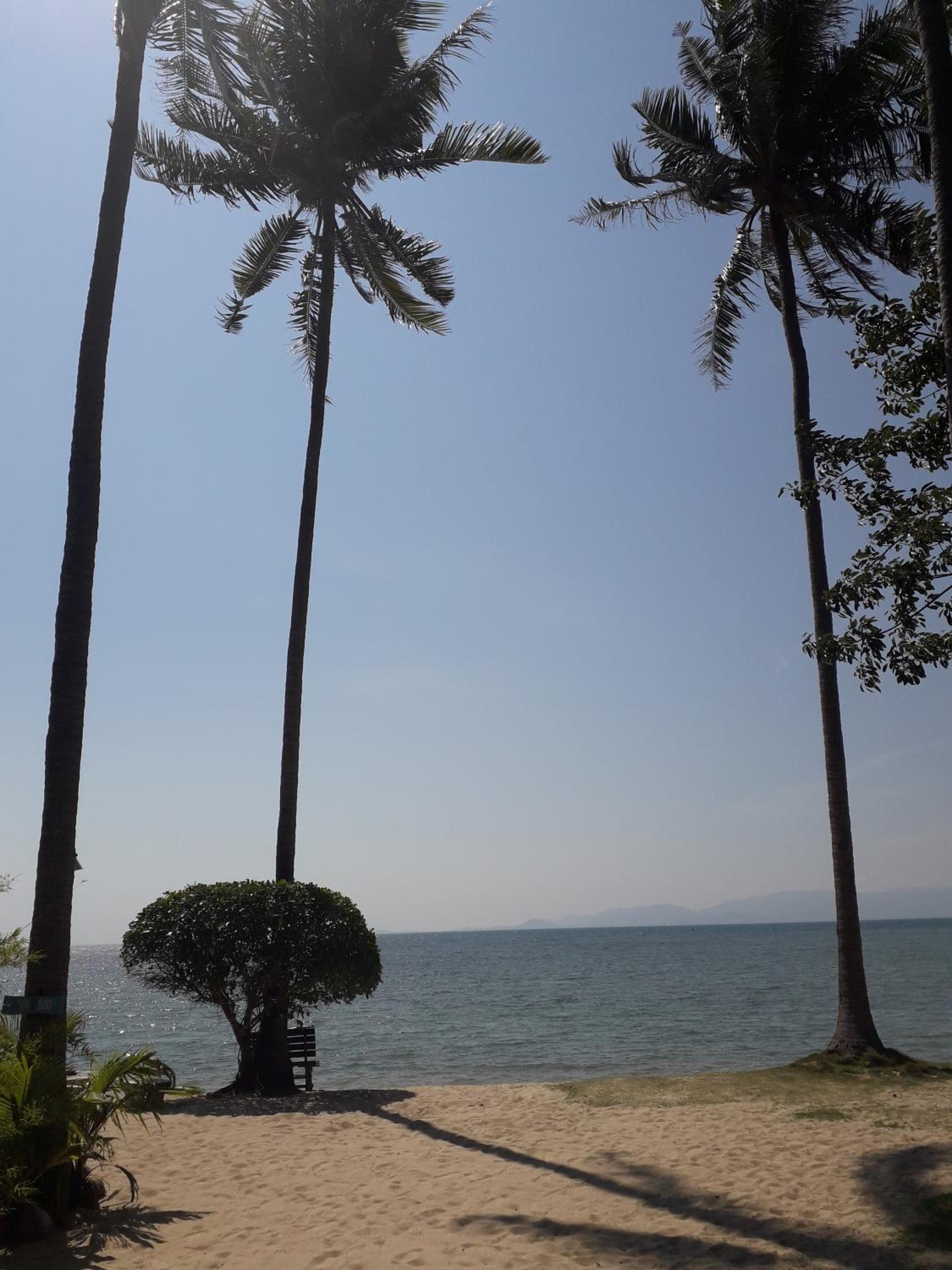Coco Garden Resort