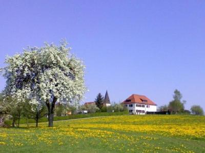 Ferienwohnung Sonja view 4
