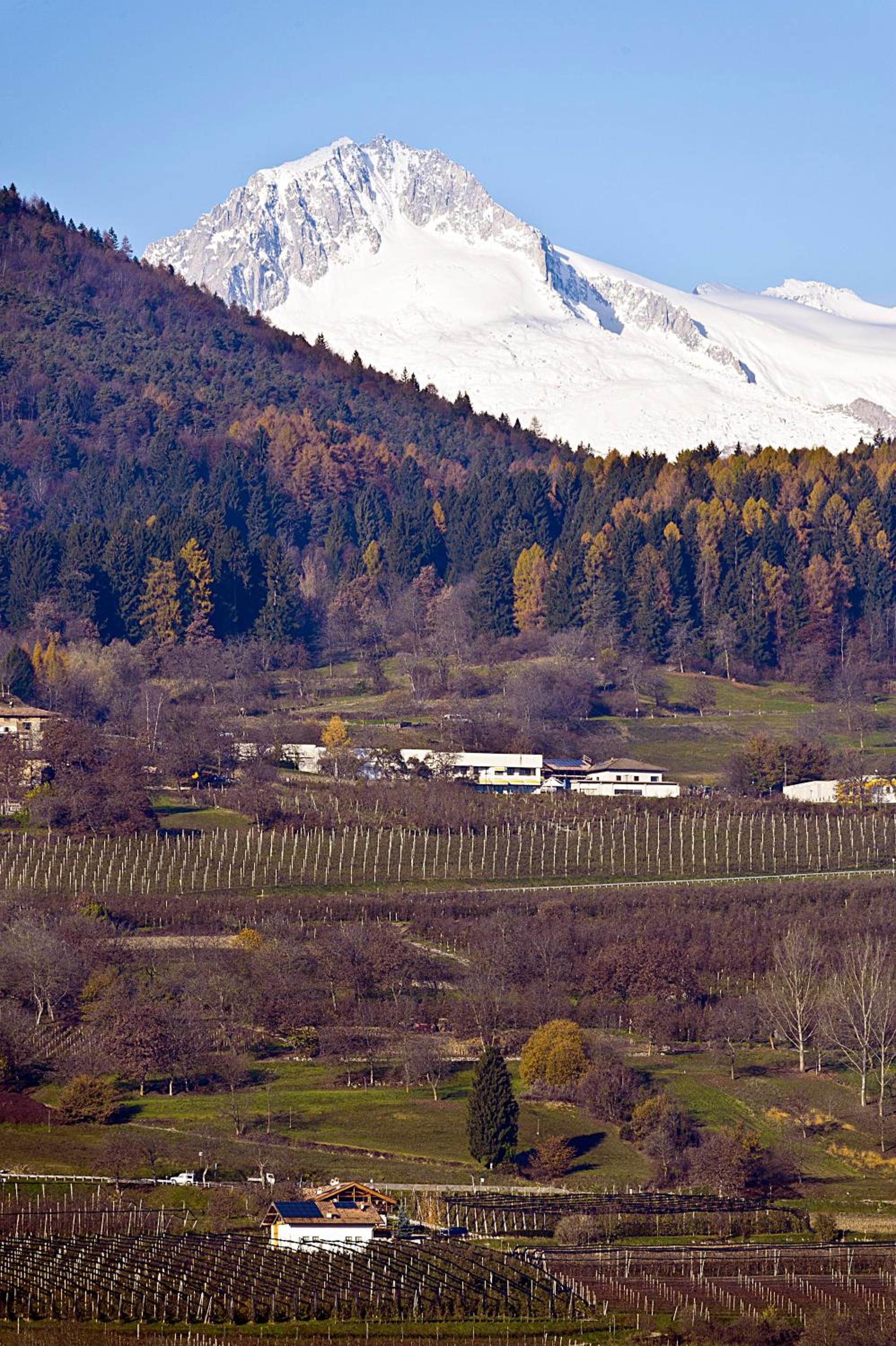 Agritur Maso Pra' Cavai B&B view 3