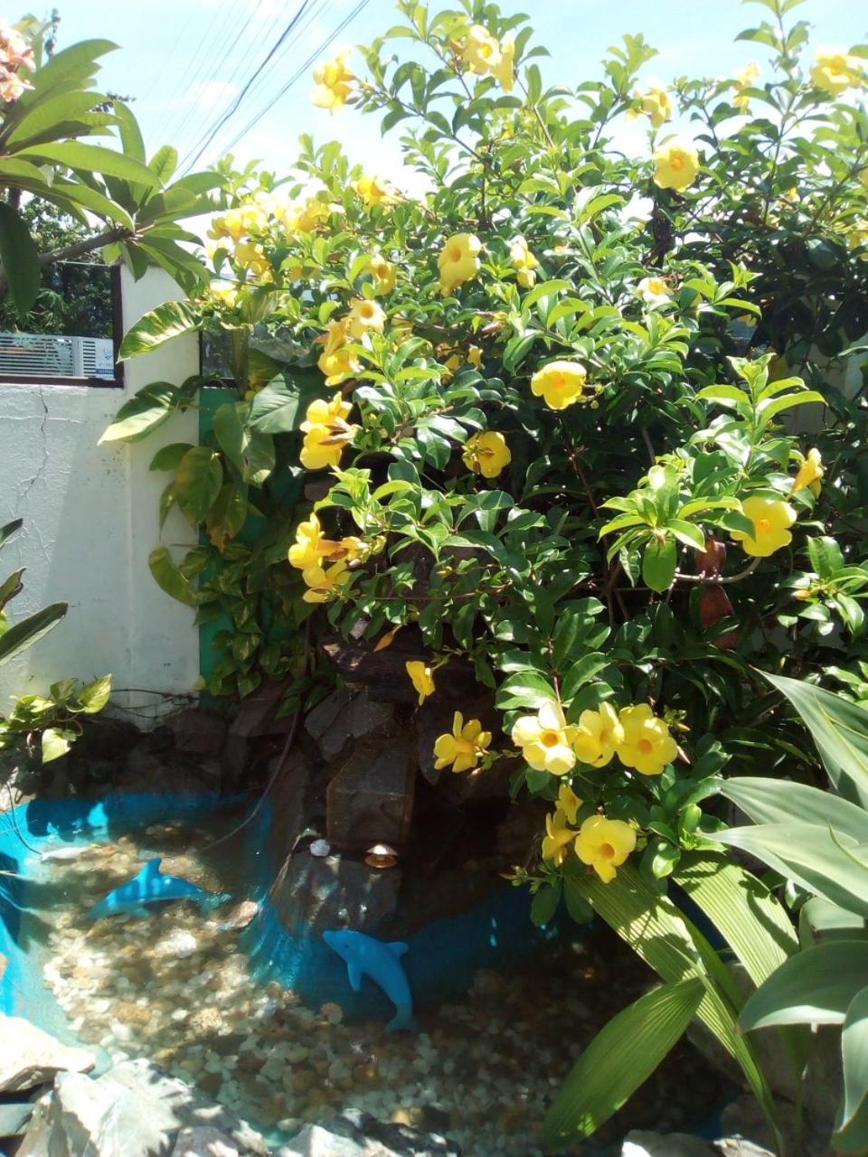 Residencial Susy