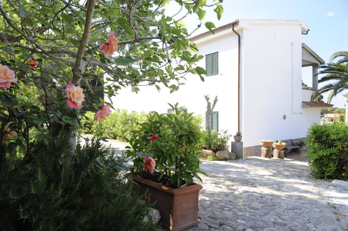 Outdoor Space