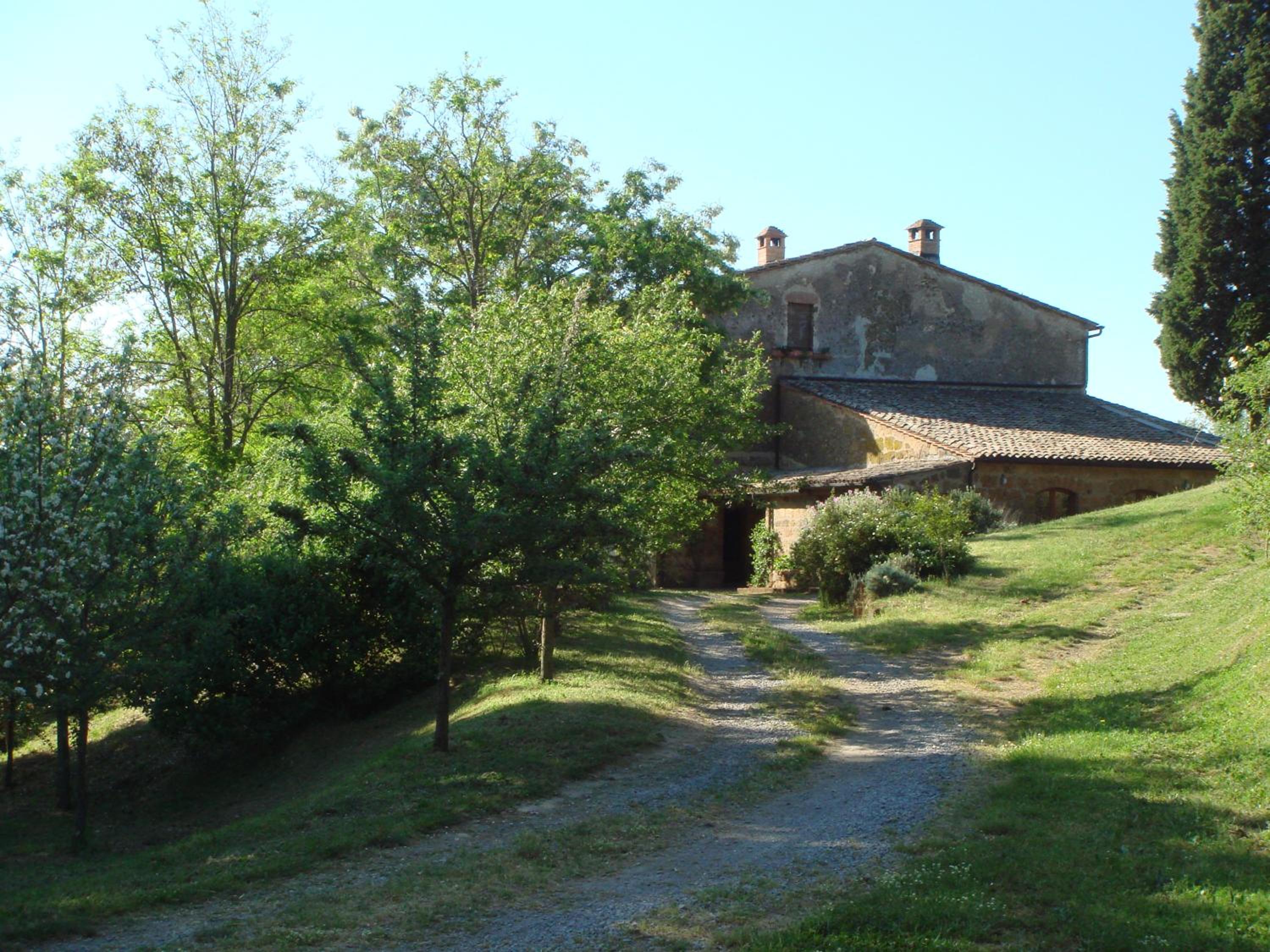 Photo 16