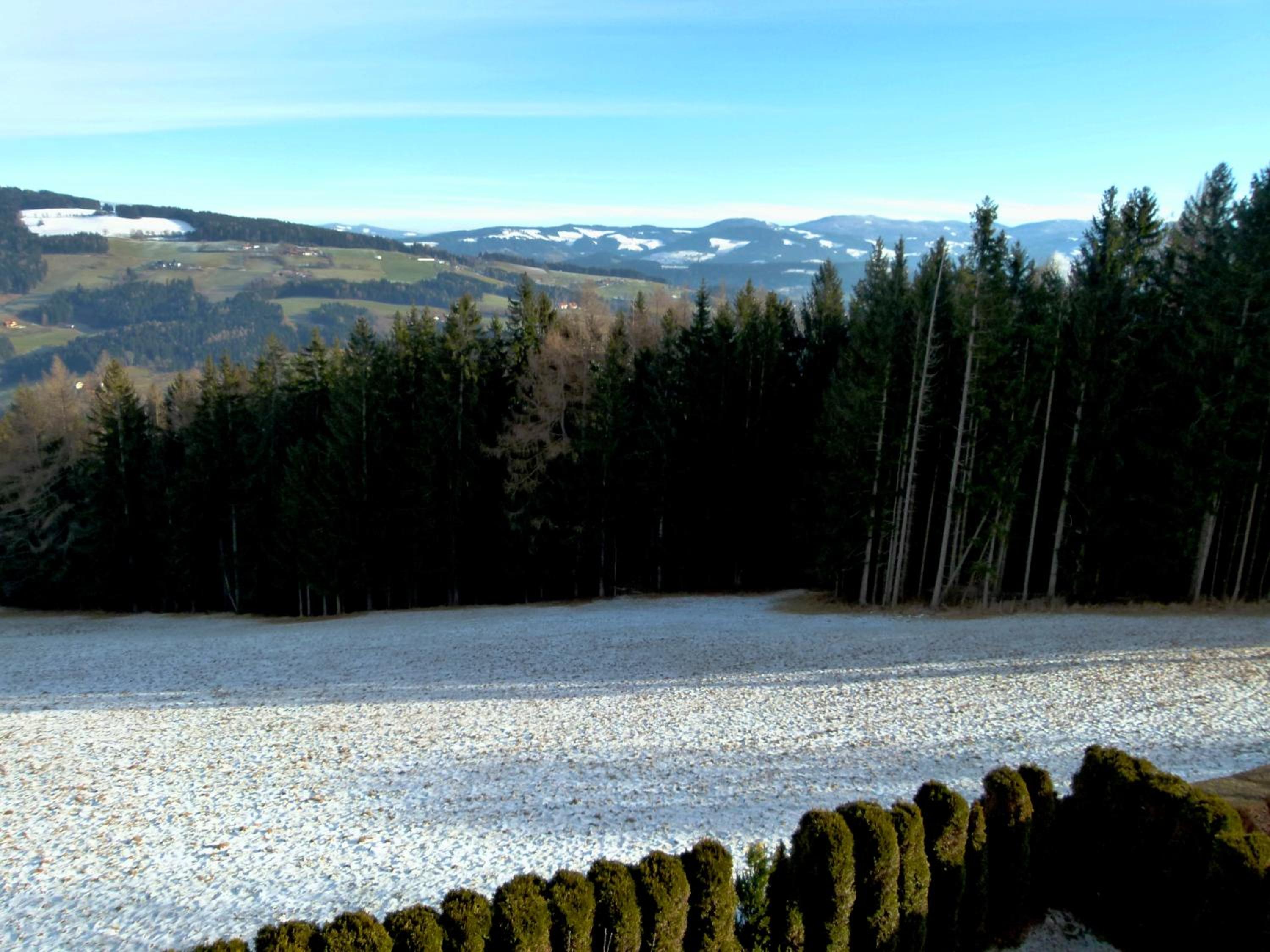 Berg-Arche