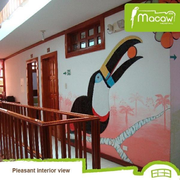 Hostal Macaw, photo 13