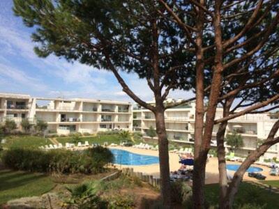 Oasis in Olhos de Agua view 5