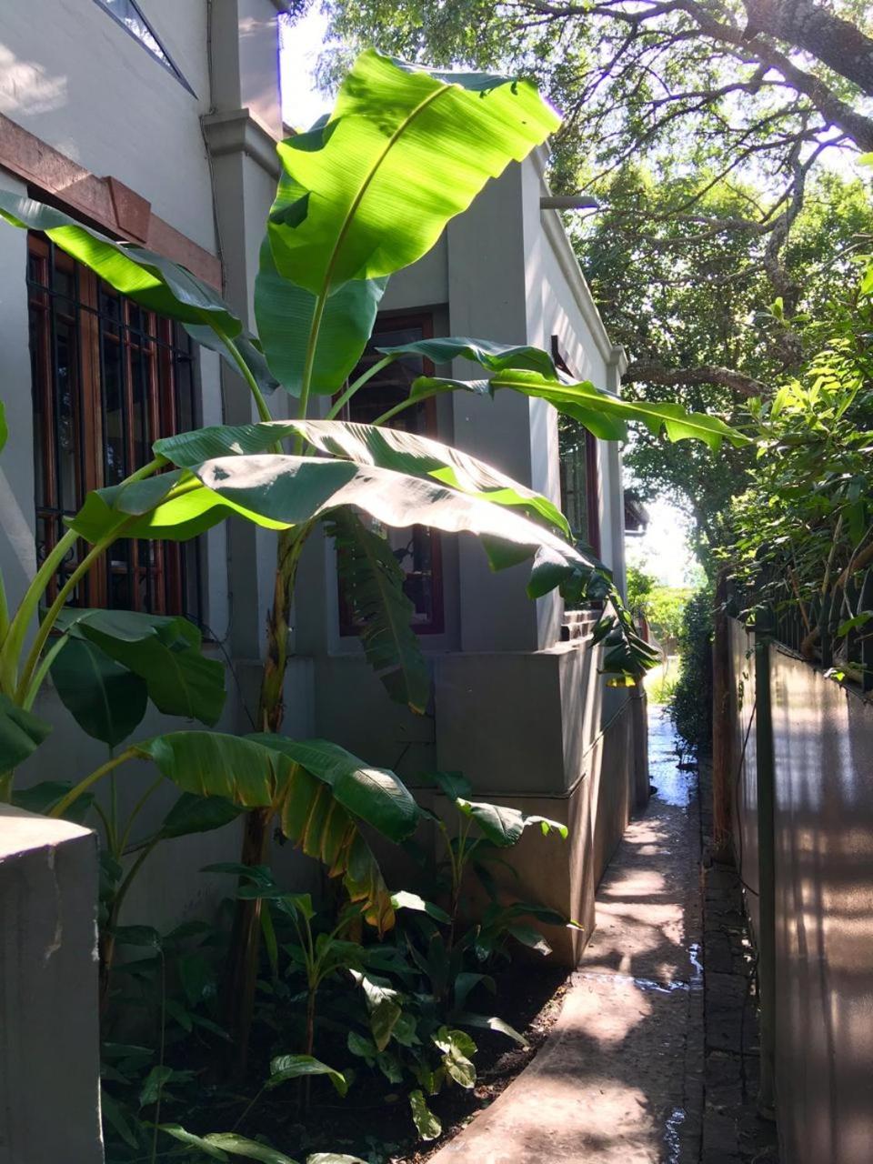 Los Tarcos Guest House