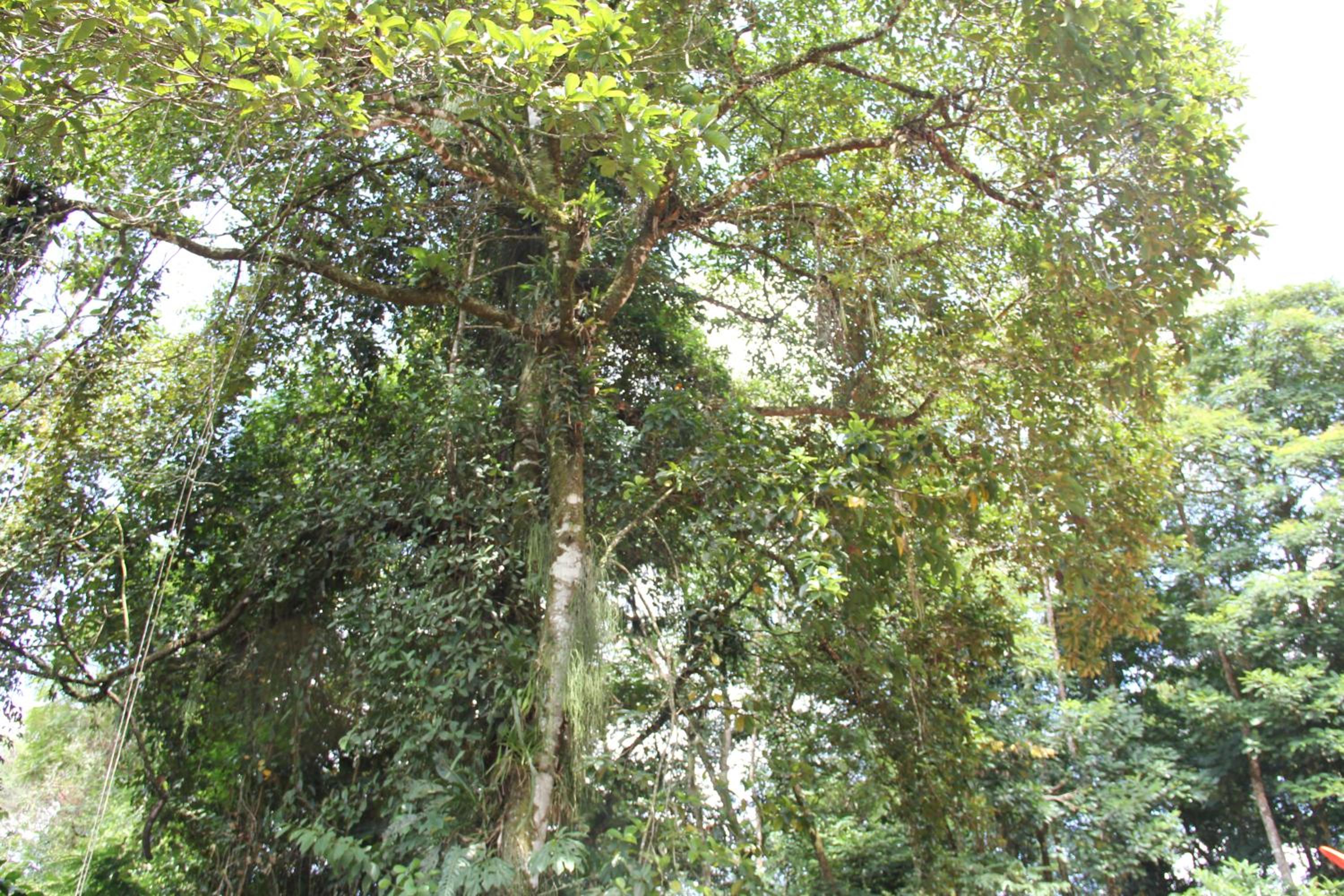 Horquetas River Lodge