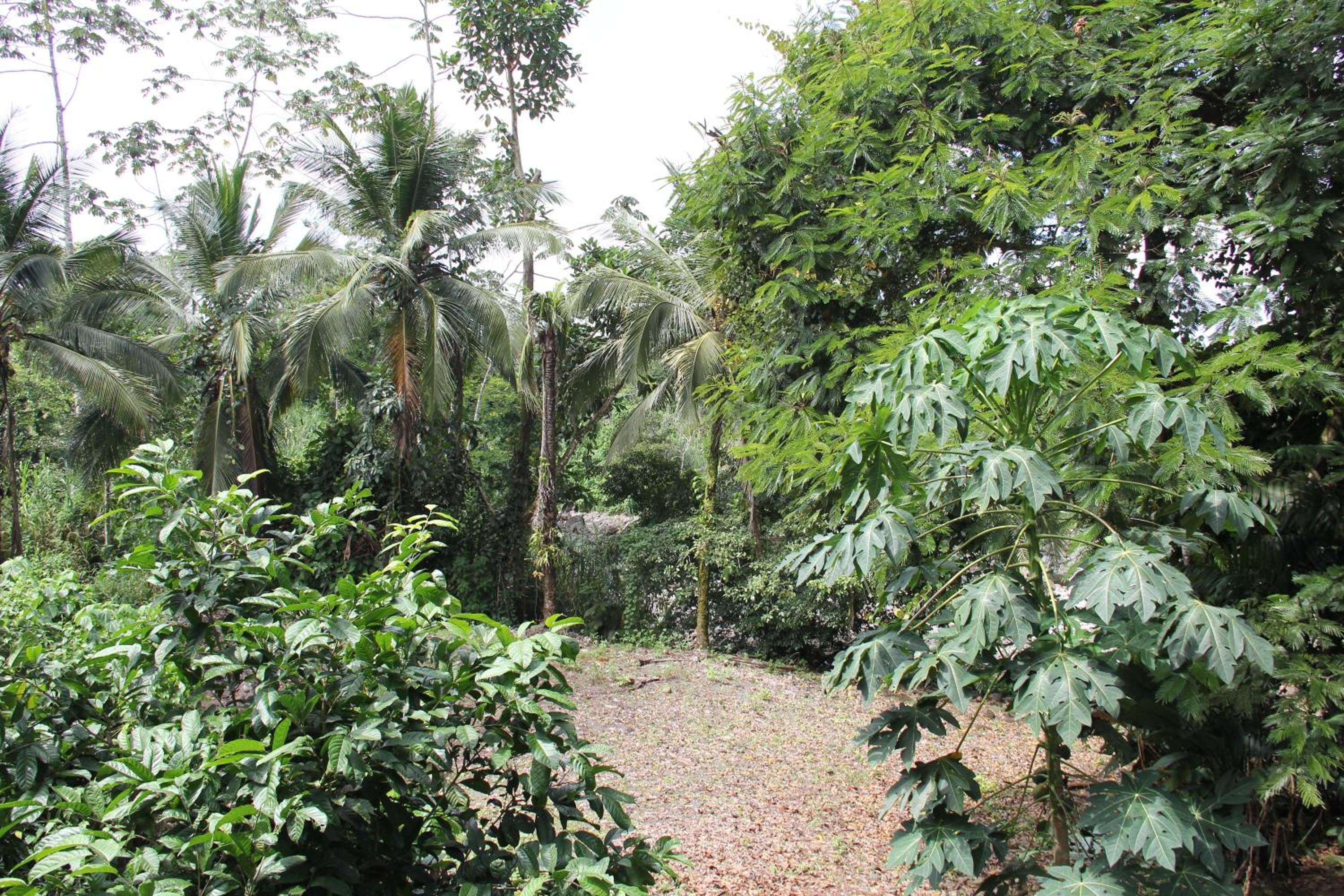 Horquetas River Lodge