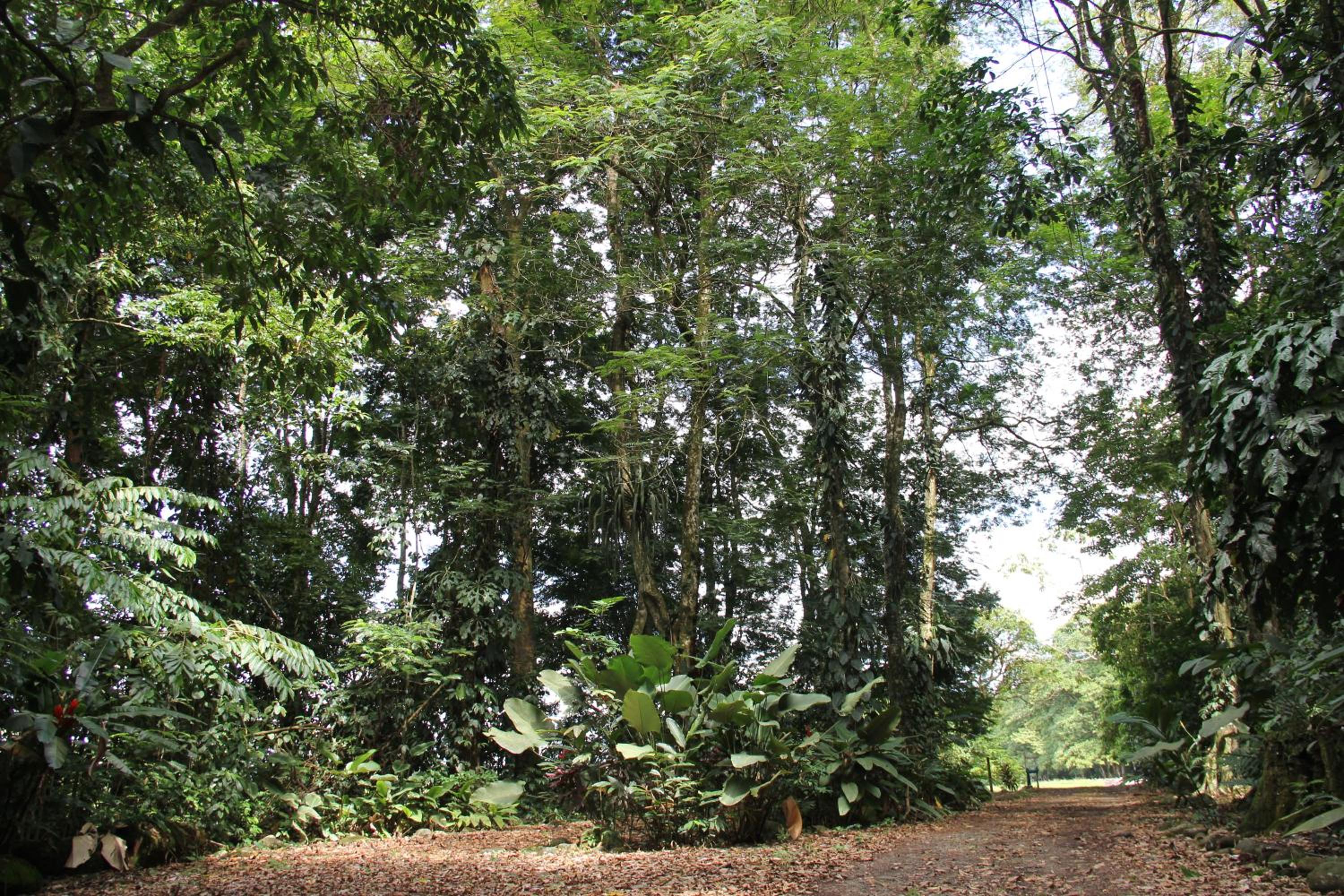 Horquetas River Lodge