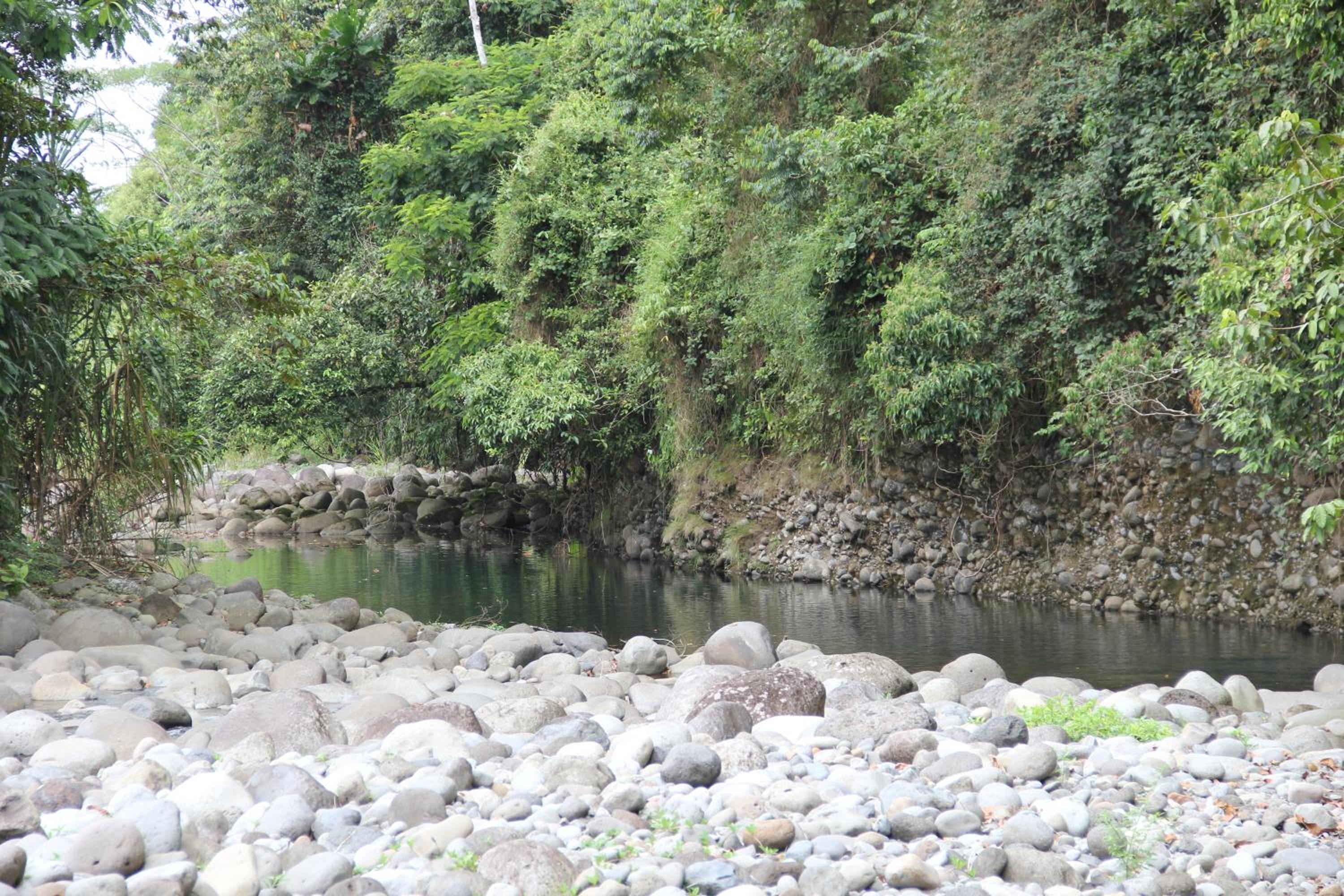 Horquetas River Lodge