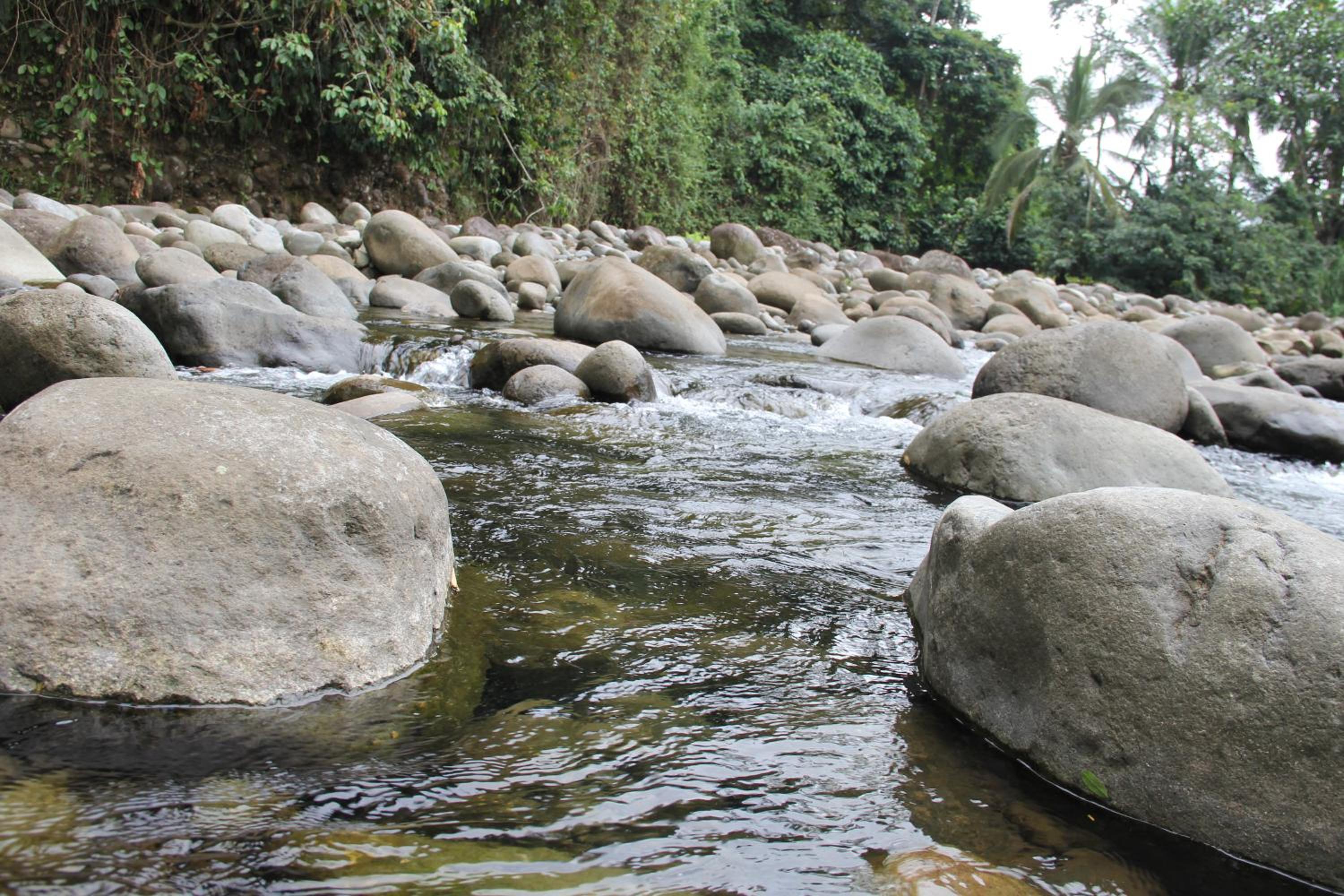 Horquetas River Lodge