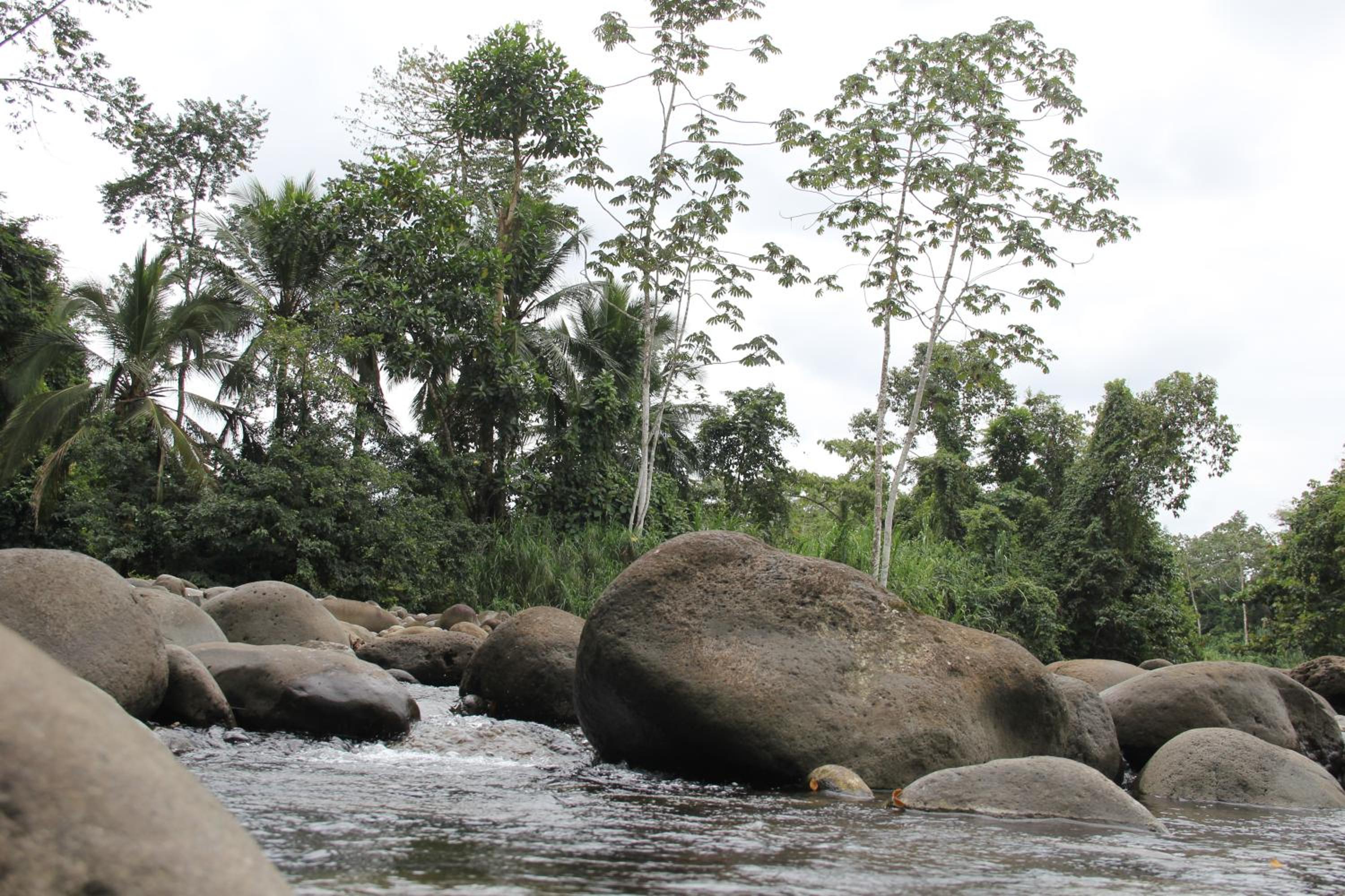 Horquetas River Lodge