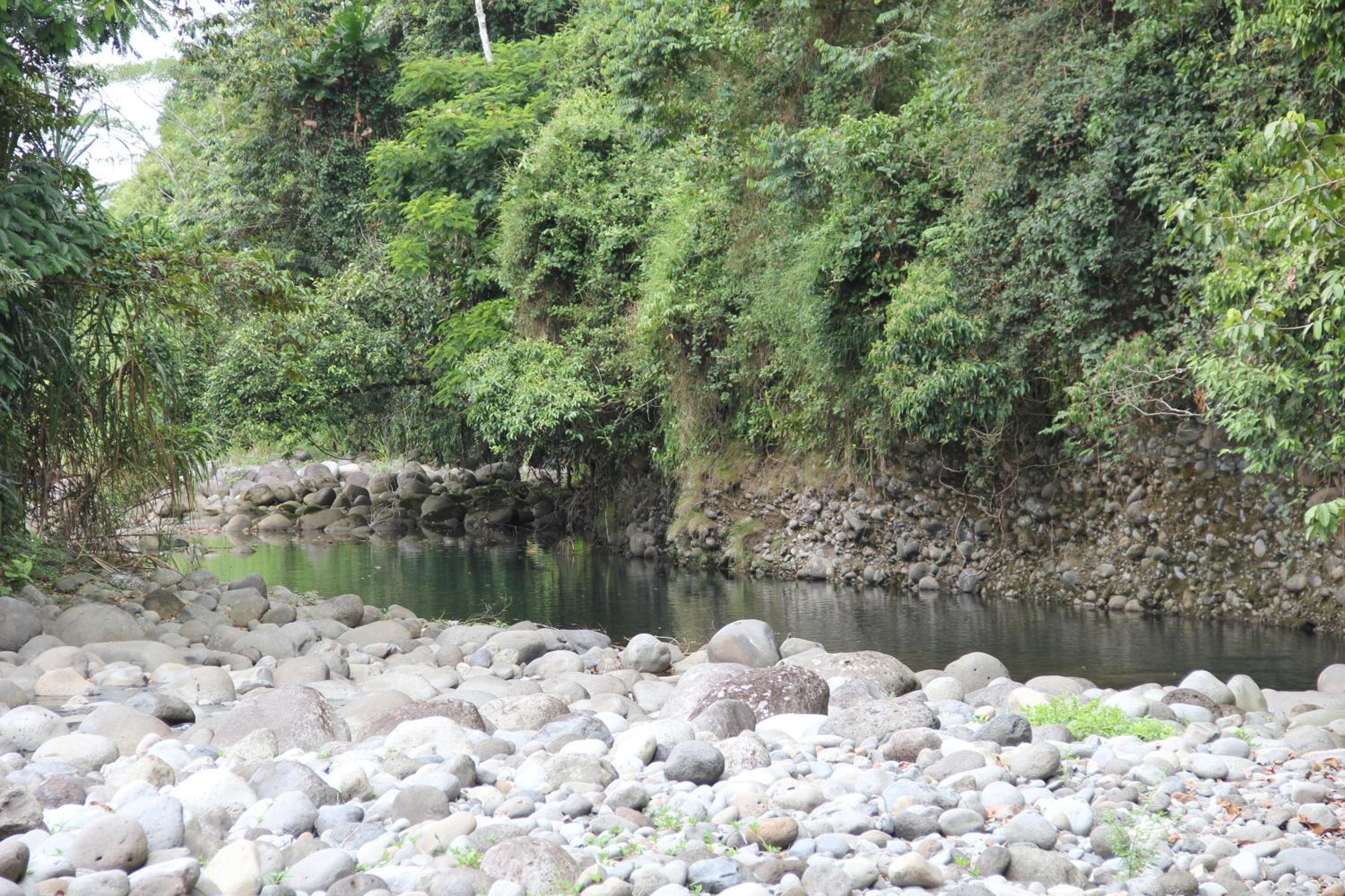 Horquetas River Lodge