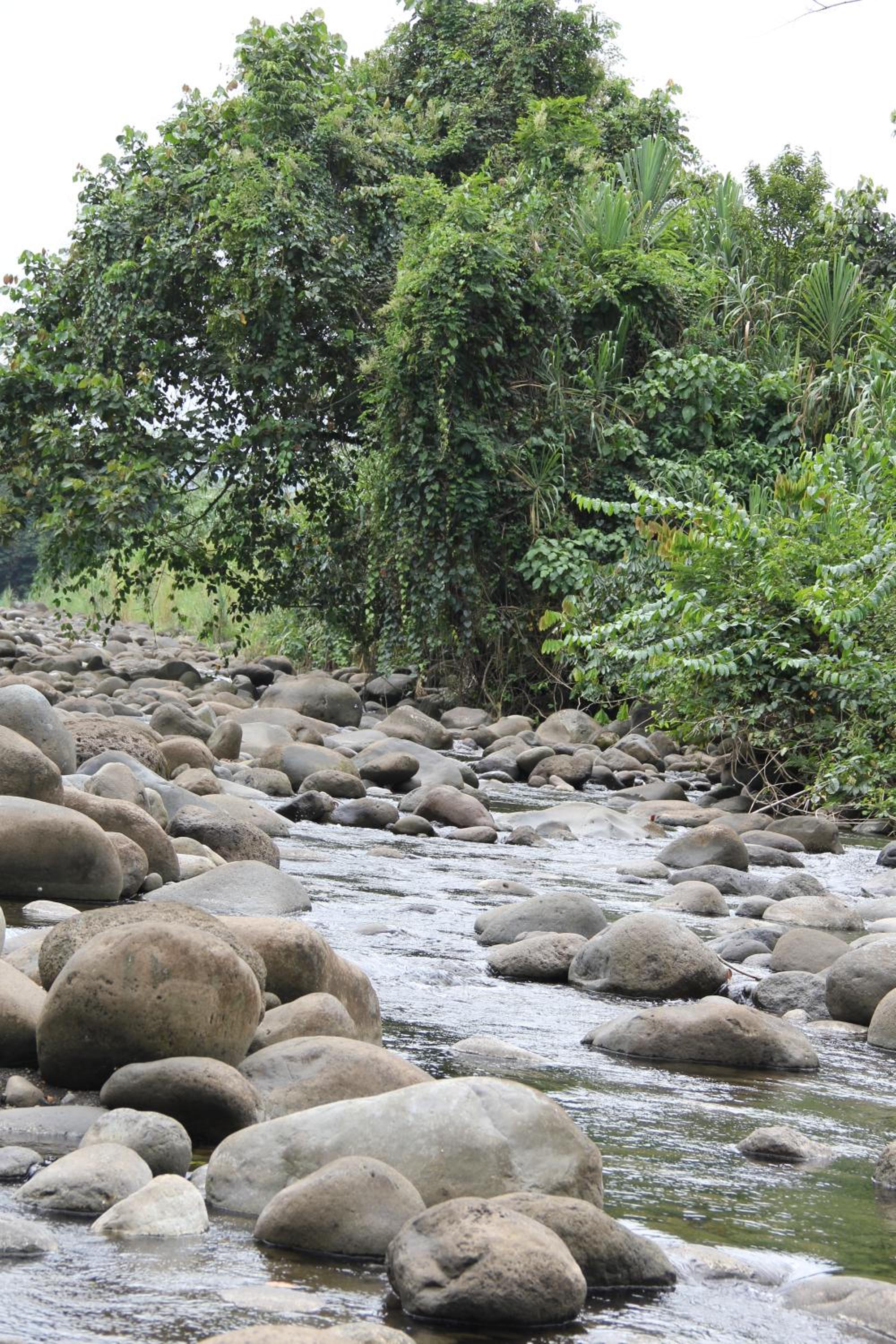 Horquetas River Lodge