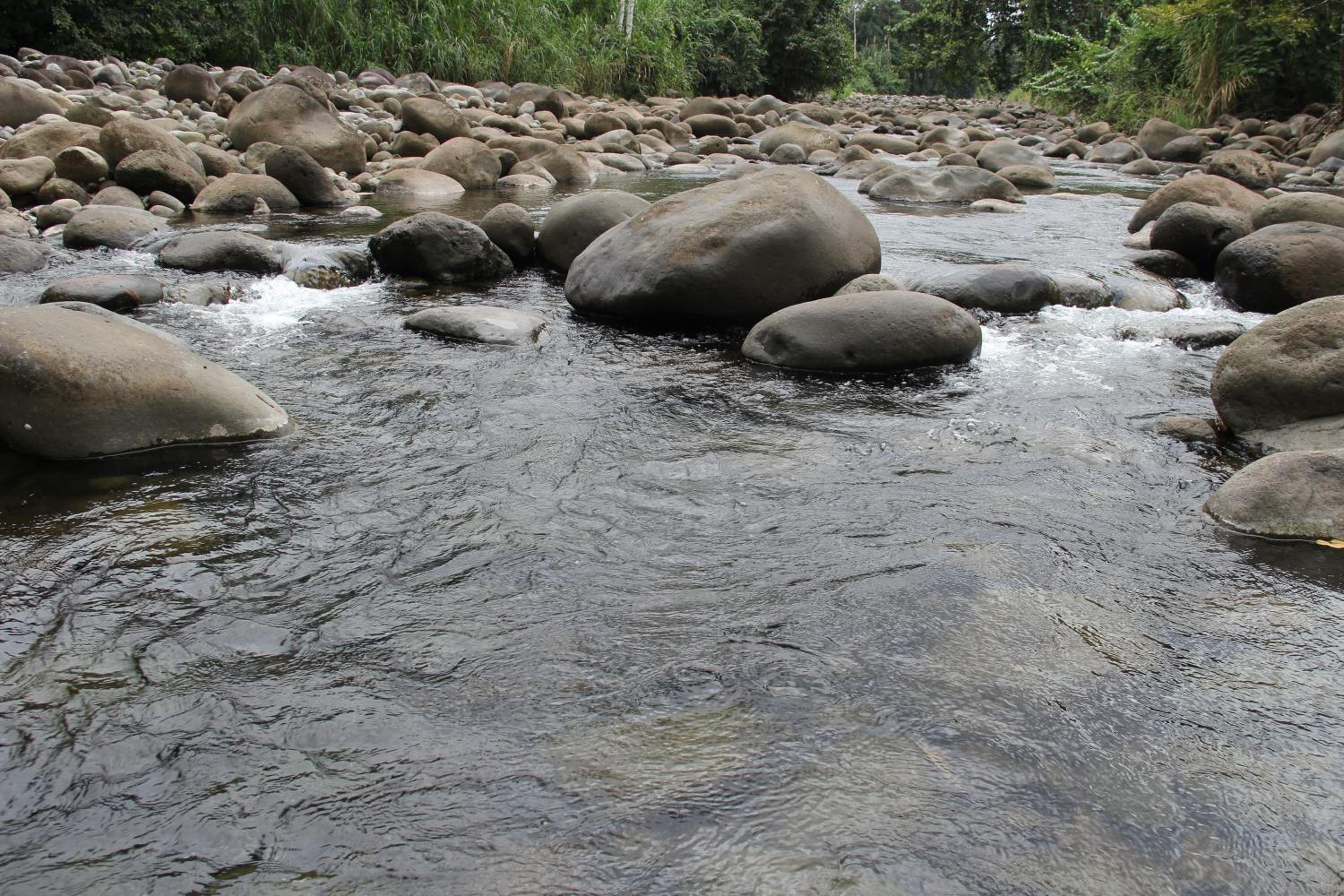 Horquetas River Lodge