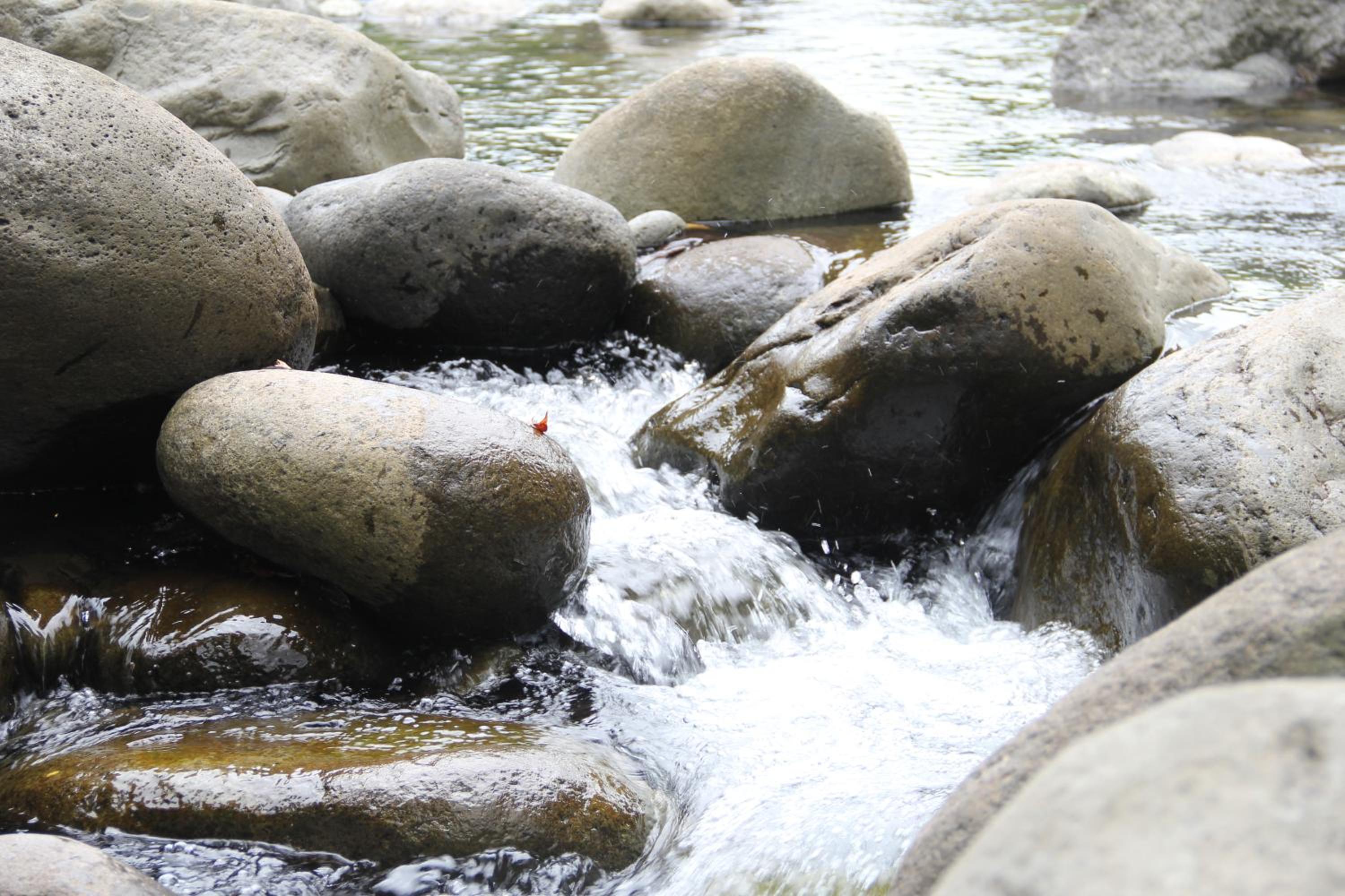 Horquetas River Lodge