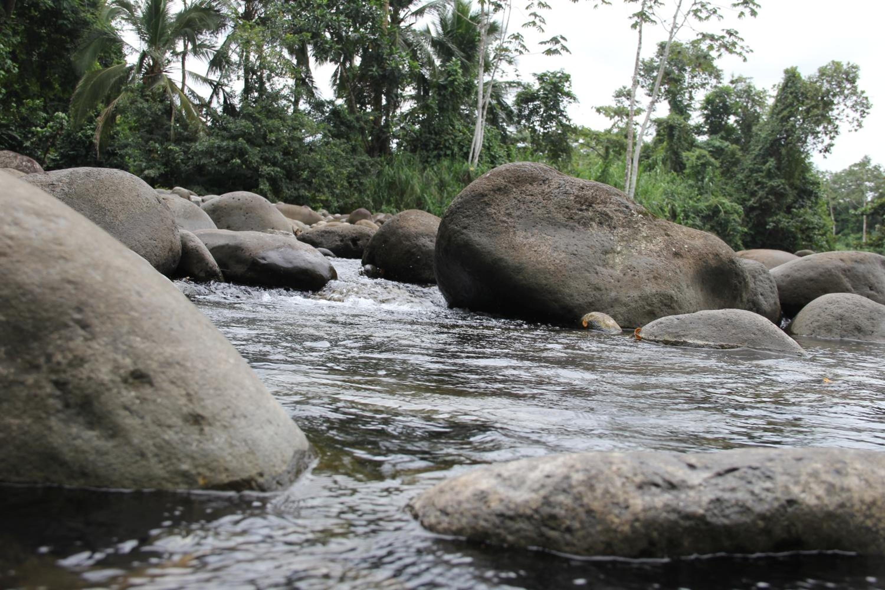 Horquetas River Lodge