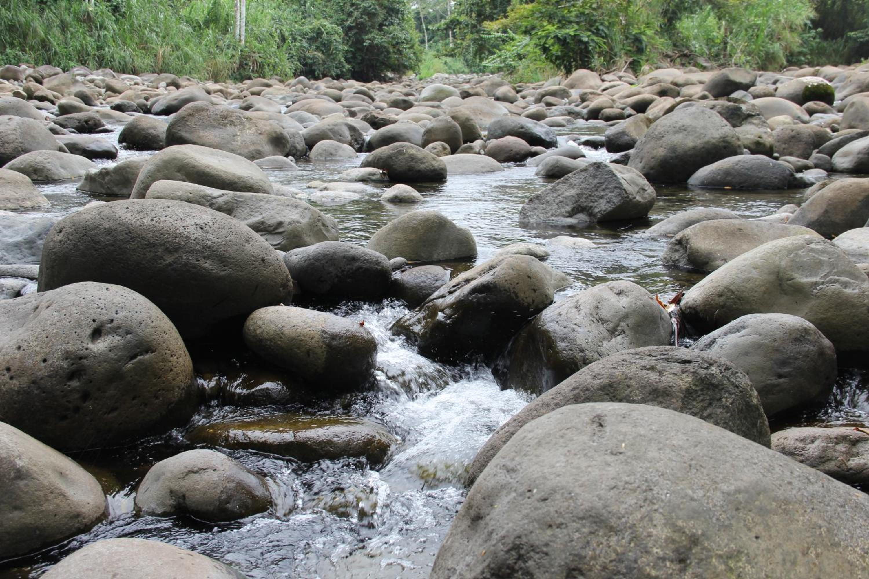 Horquetas River Lodge
